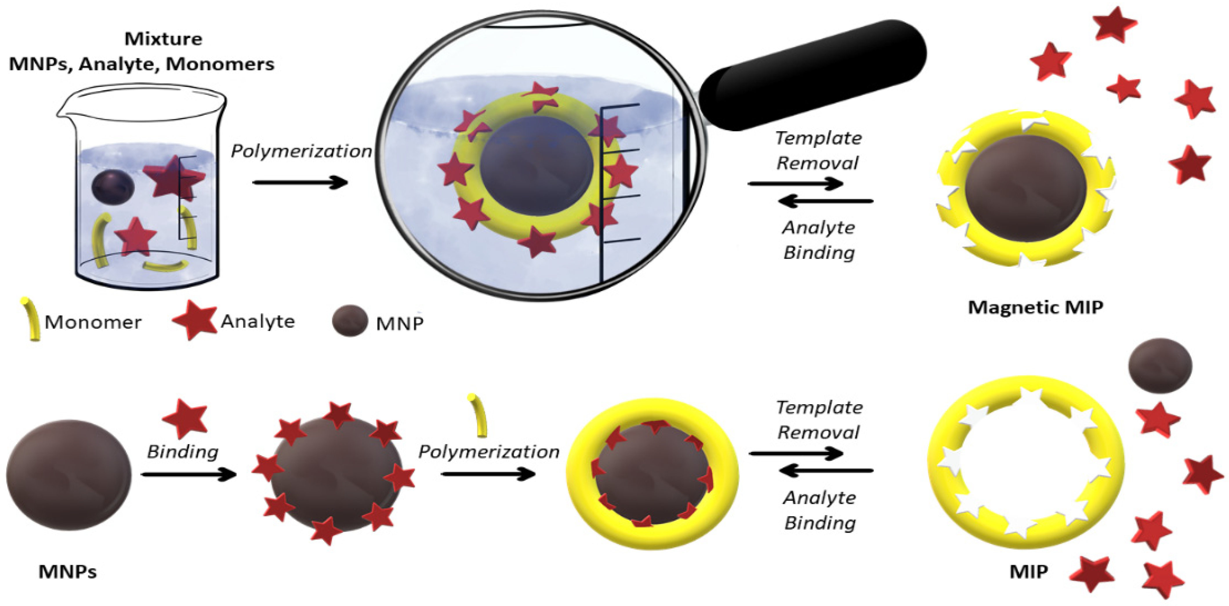 Magnetochemistry 09 00012 g012