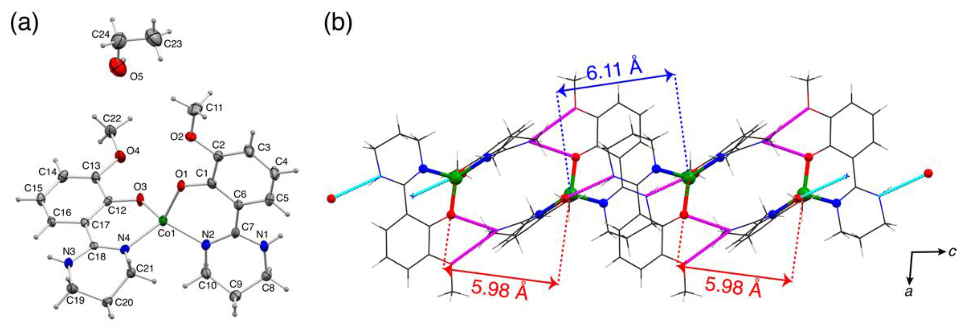 Magnetochemistry 09 00017 g001