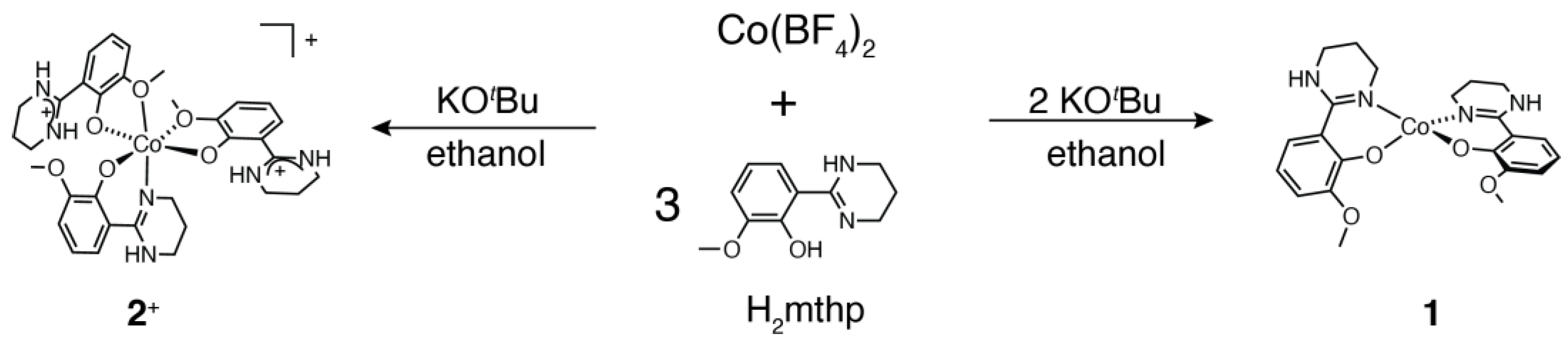 Magnetochemistry 09 00017 sch001