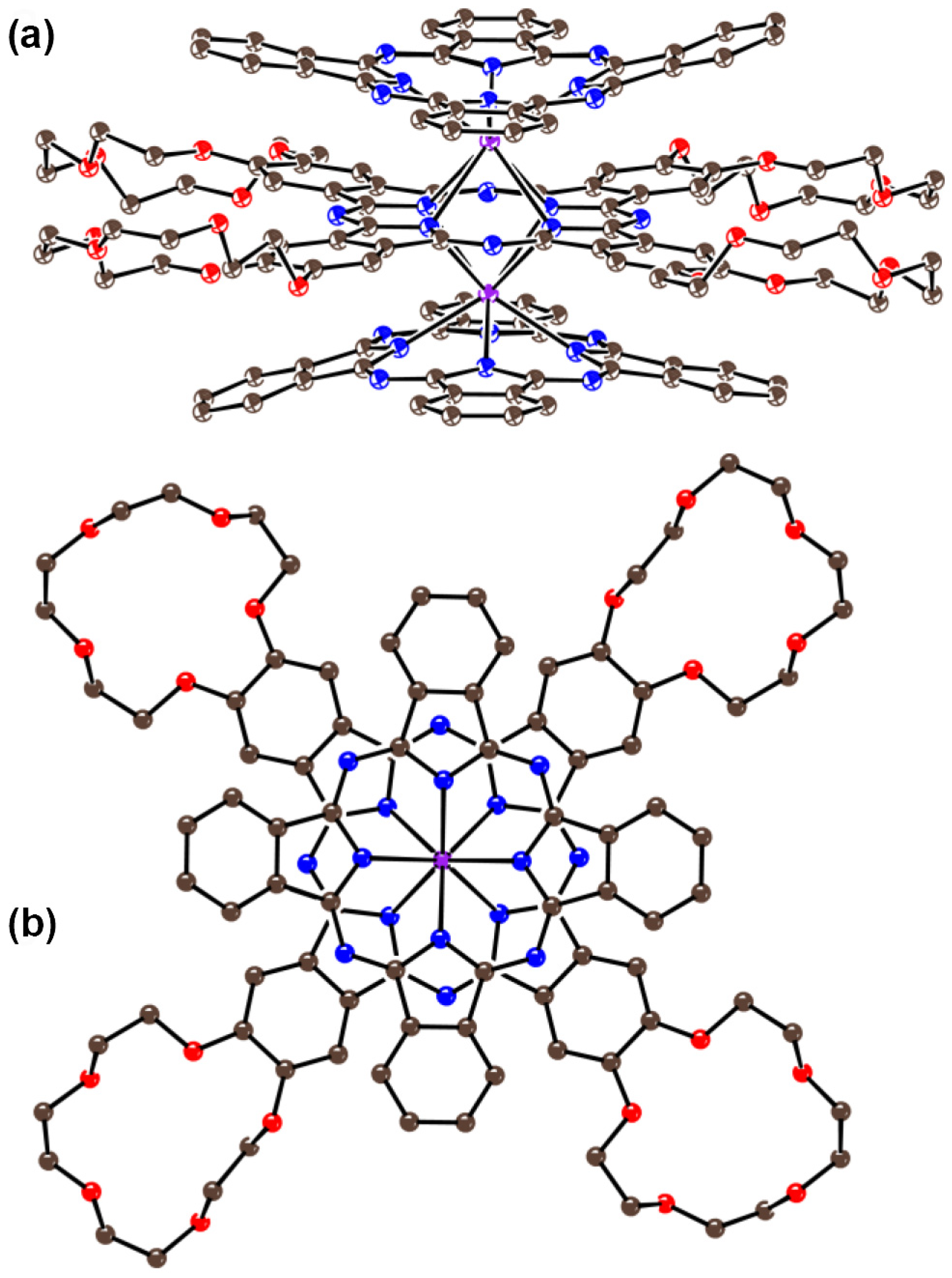 Magnetochemistry 09 00036 g001
