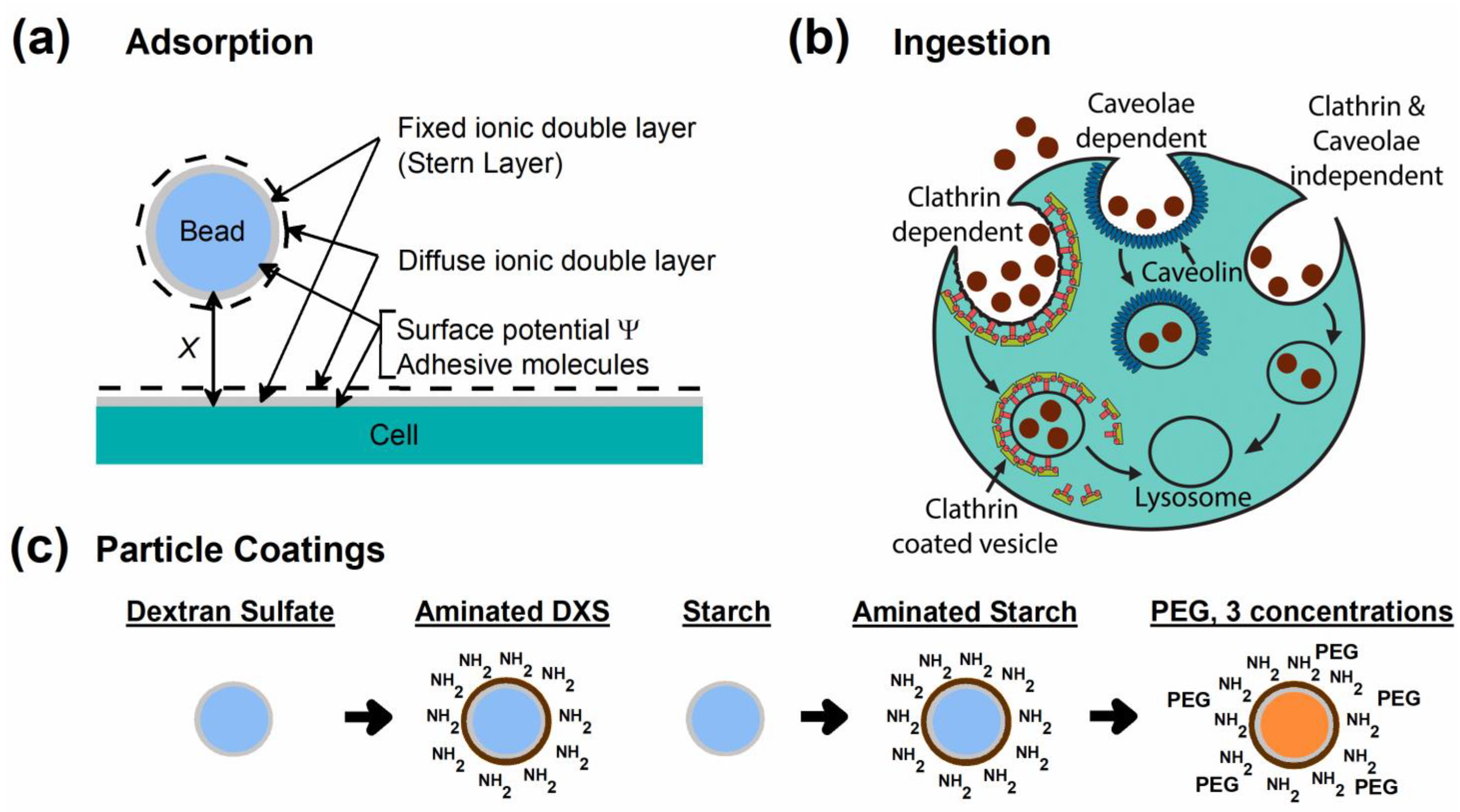 Magnetochemistry 09 00037 g001