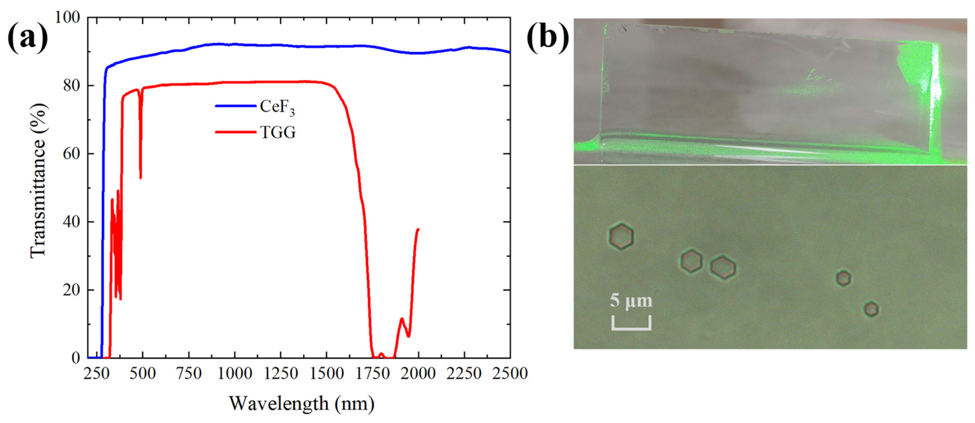 Magnetochemistry 09 00041 g003