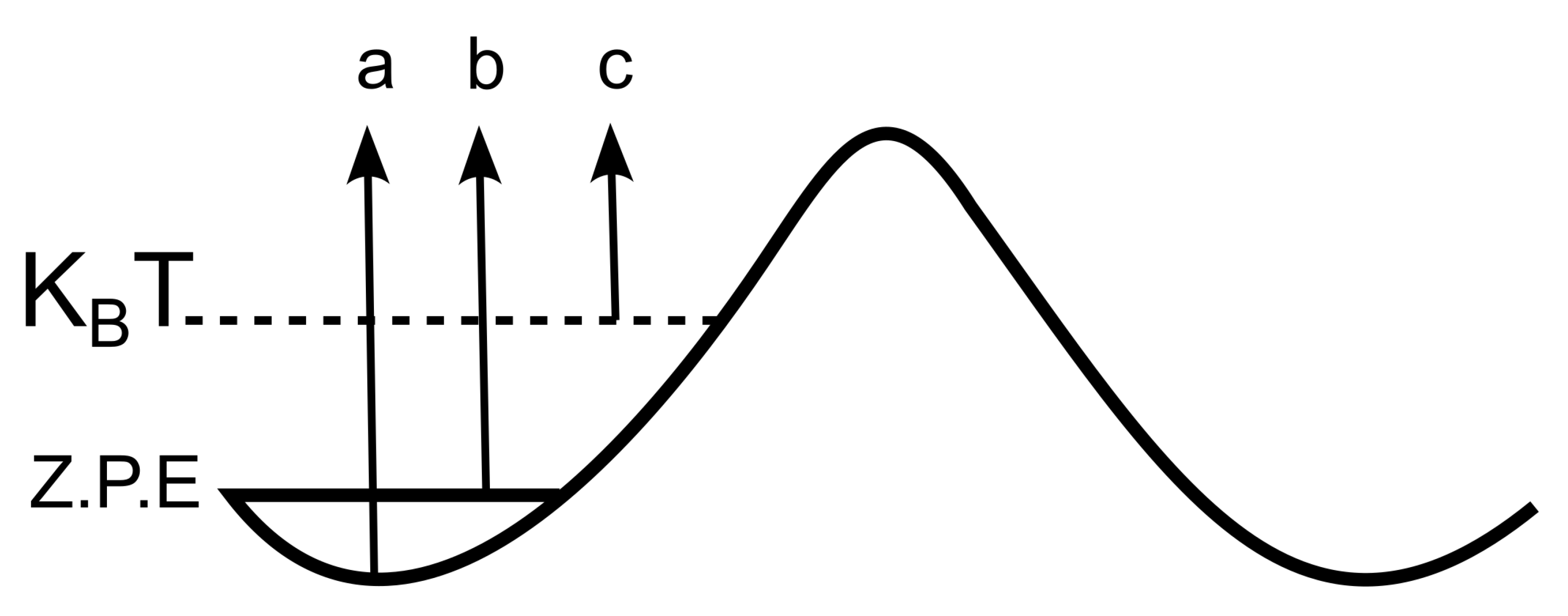 Magnetochemistry 09 00042 g002