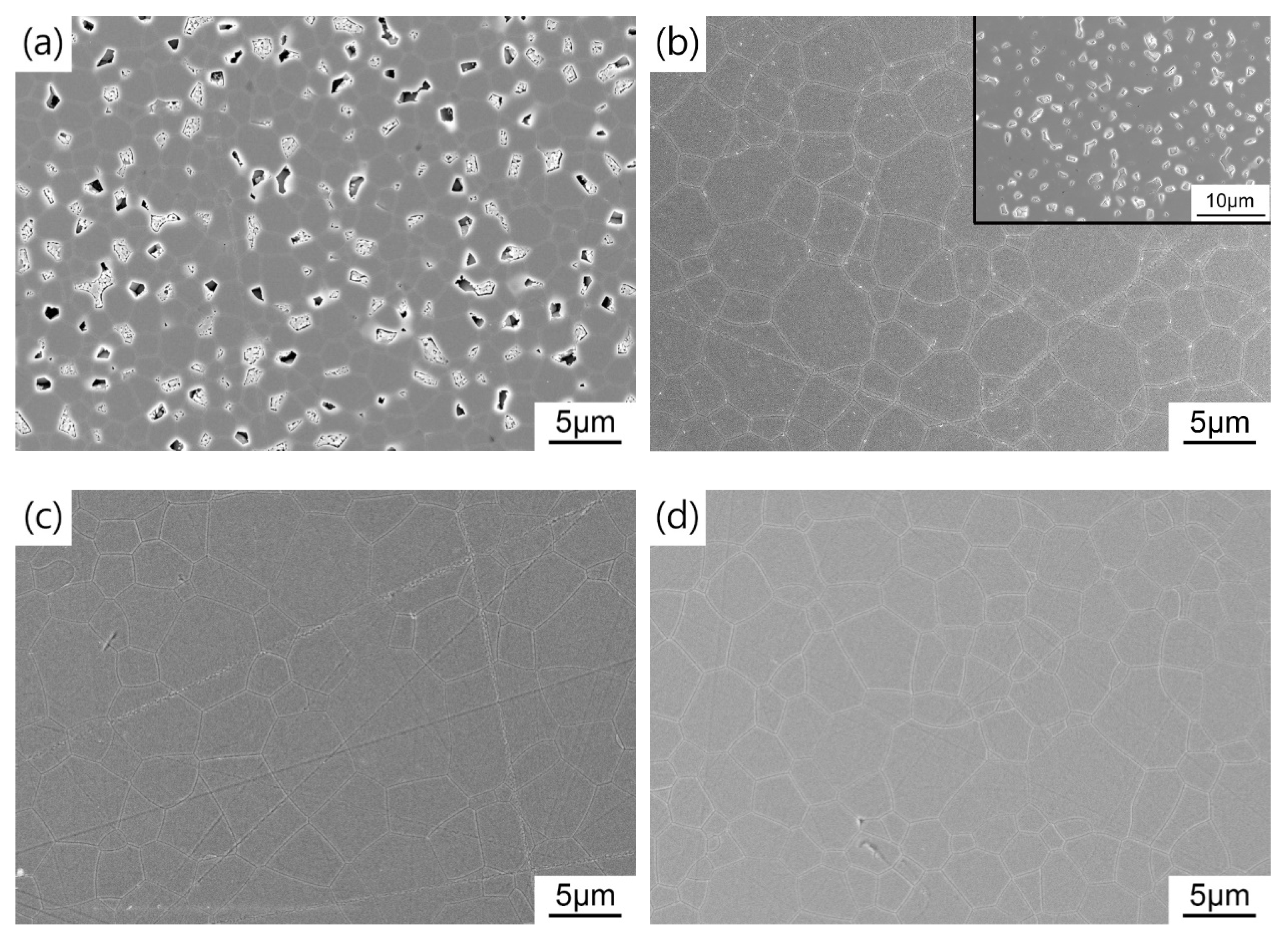 Magnetochemistry 09 00047 g009a
