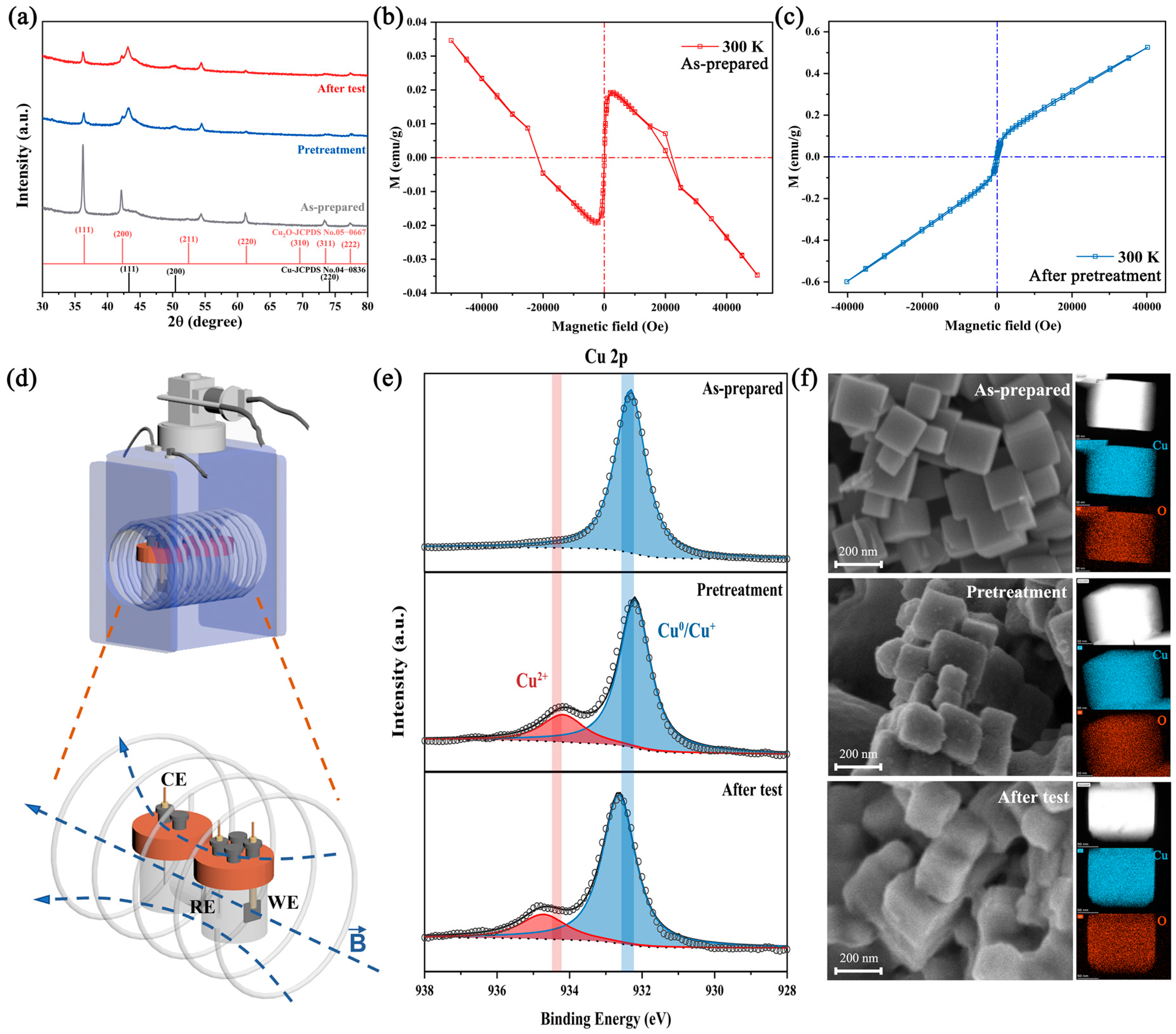 Magnetochemistry 09 00065 g001