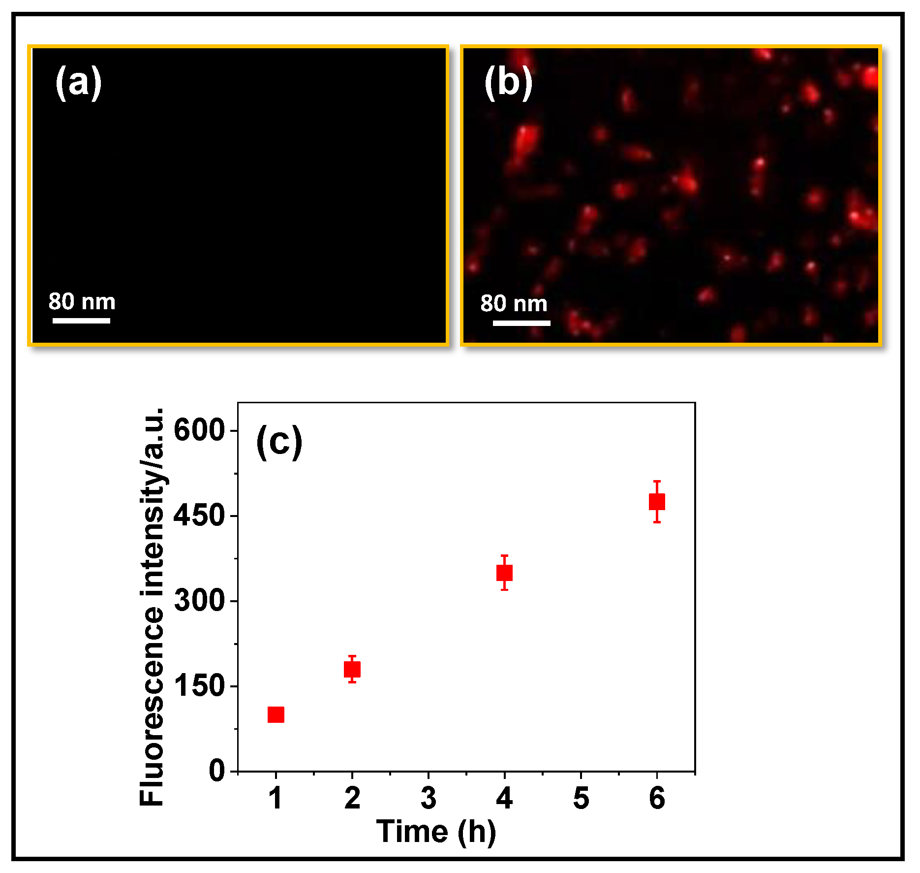 Magnetochemistry 09 00081 g006