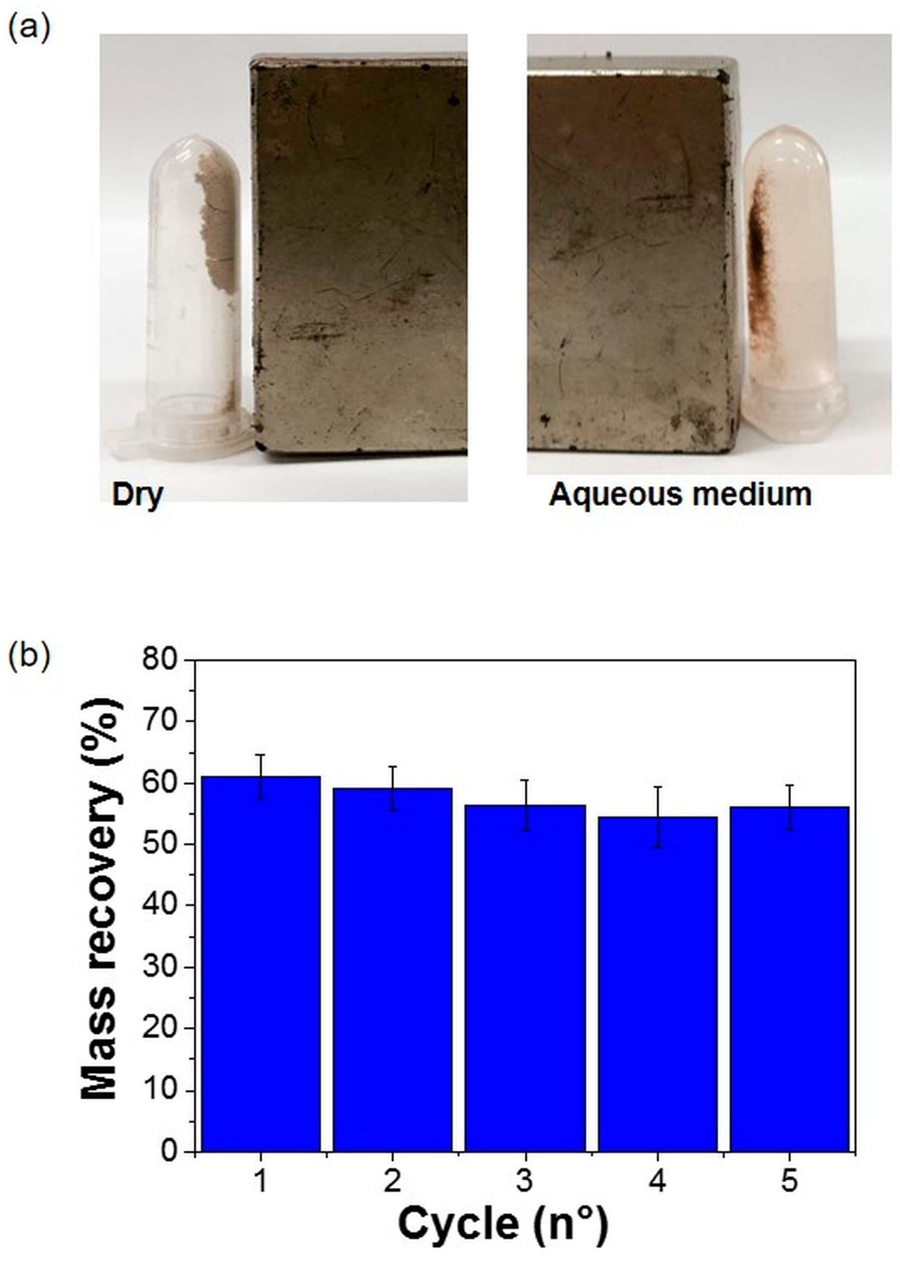 Magnetochemistry 09 00136 g005