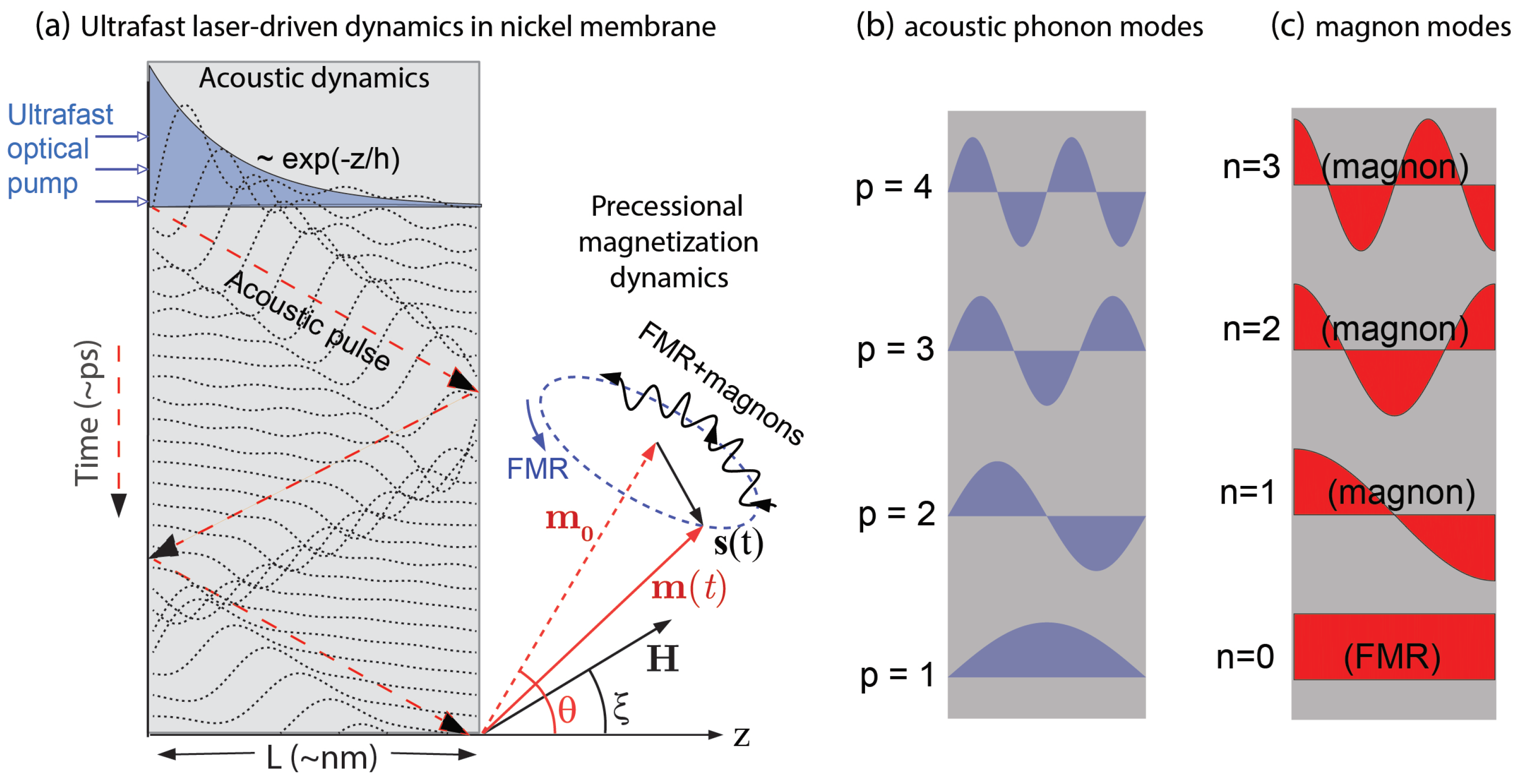 Magnetochemistry 09 00184 g001 Magnetochemistry 09 00184 g001