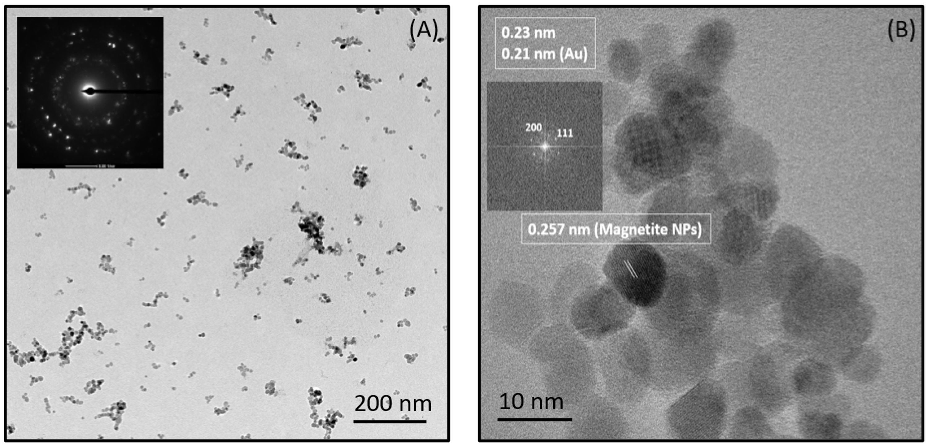 Magnetochemistry 09 00202 g008