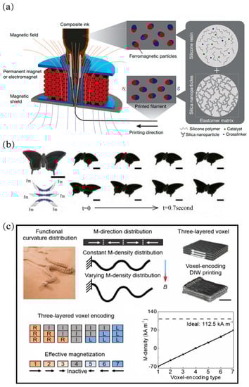 Magnetochemistry 09 00204 g005
