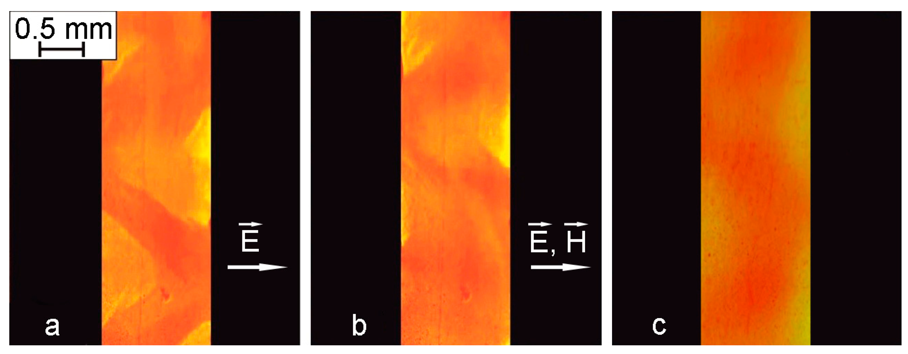 Magnetochemistry 09 00207 g009