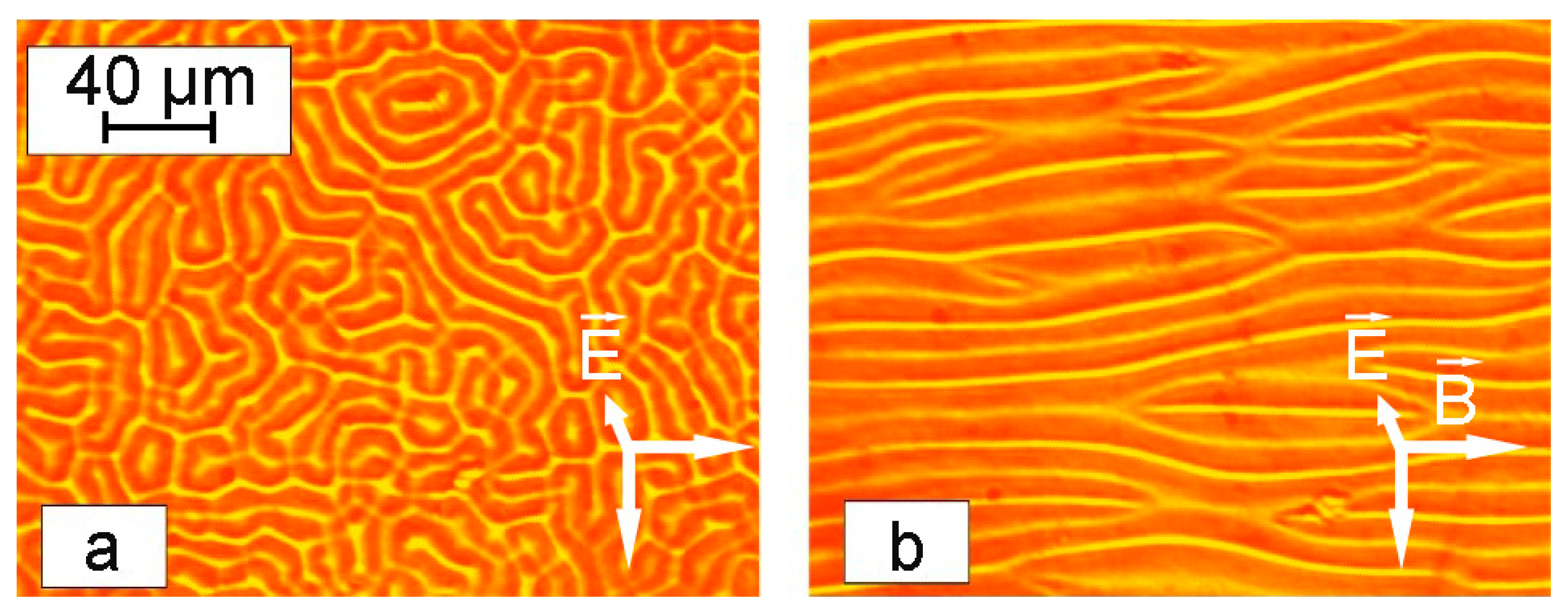 Magnetochemistry 09 00207 g011