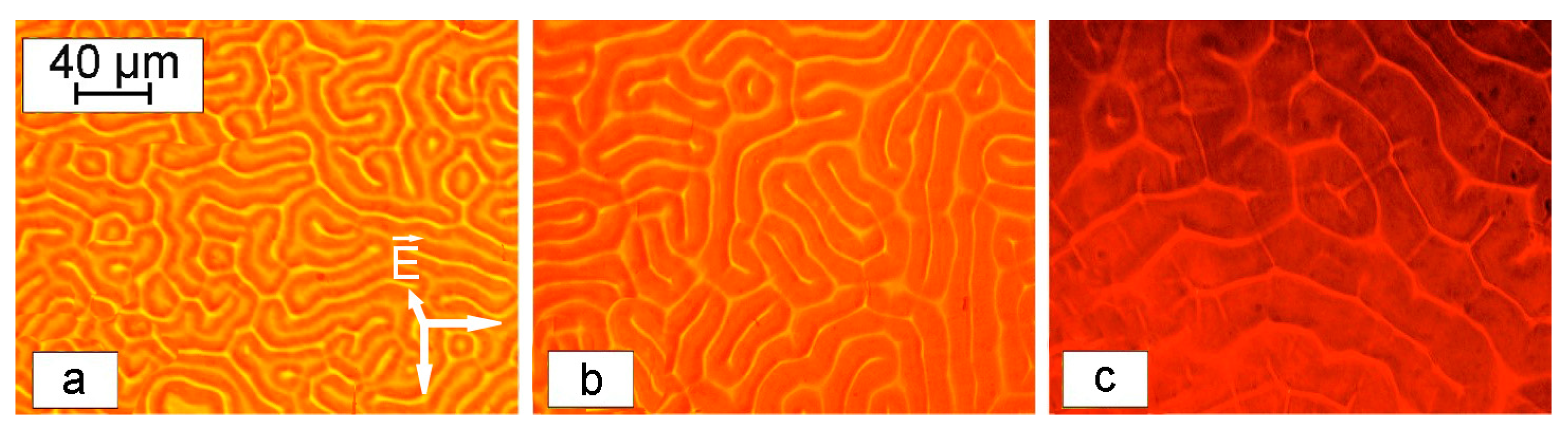 Magnetochemistry 09 00207 g012