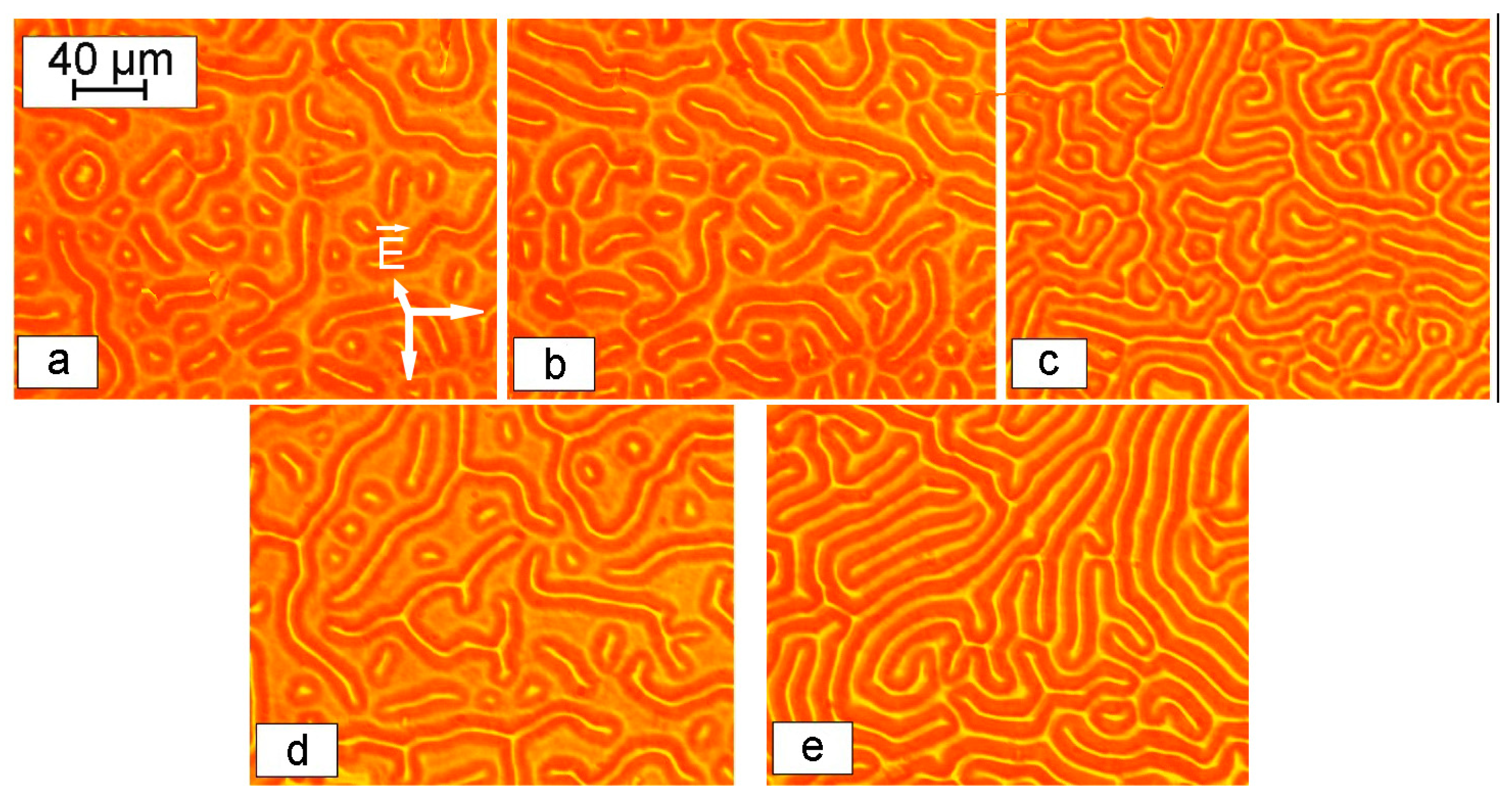 Magnetochemistry 09 00207 g013
