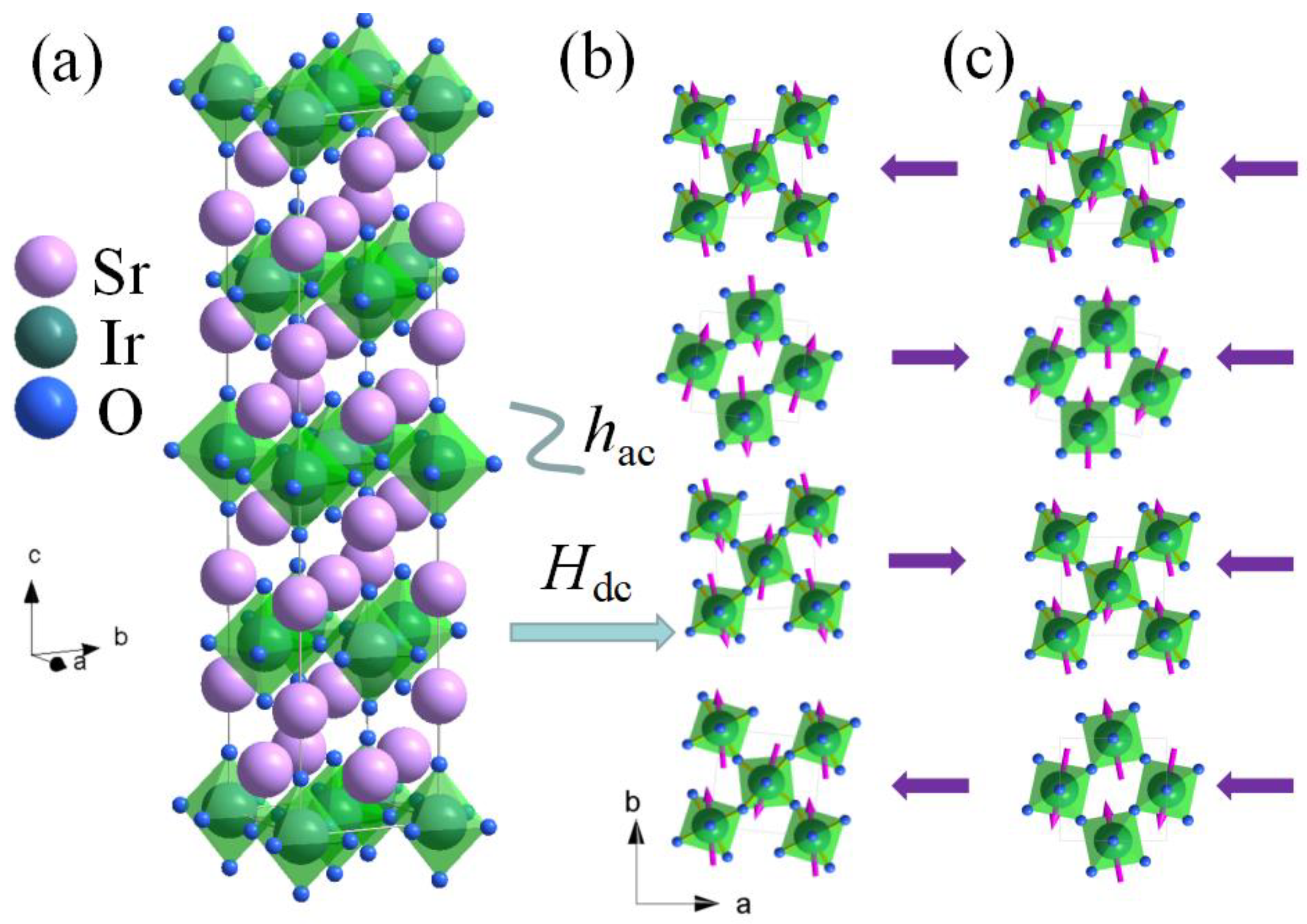 Magnetochemistry 09 00231 g002 Magnetochemistry 09 00231 g002