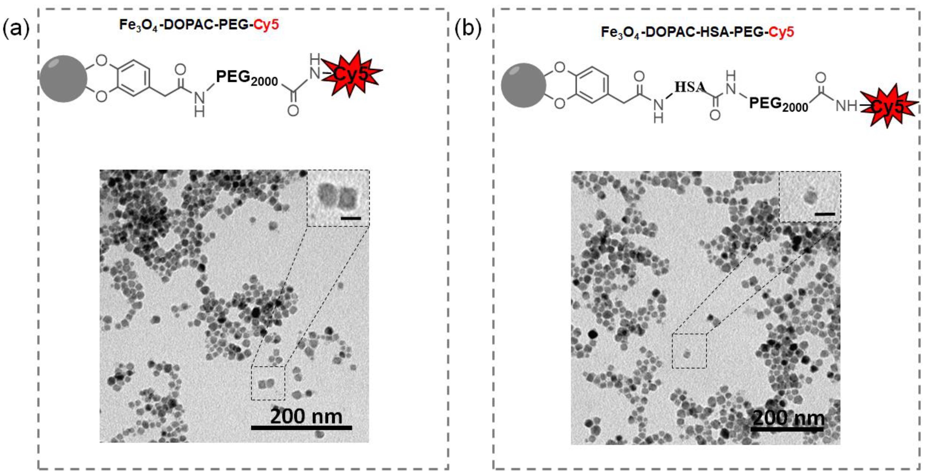 Magnetochemistry 10 00009 g001