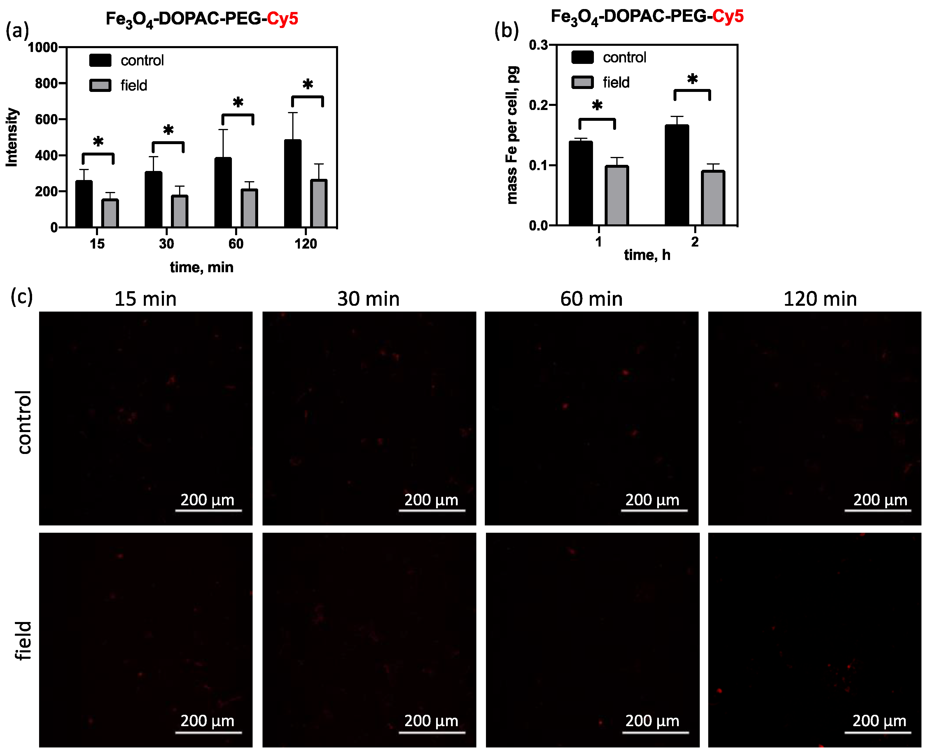 Magnetochemistry 10 00009 g005