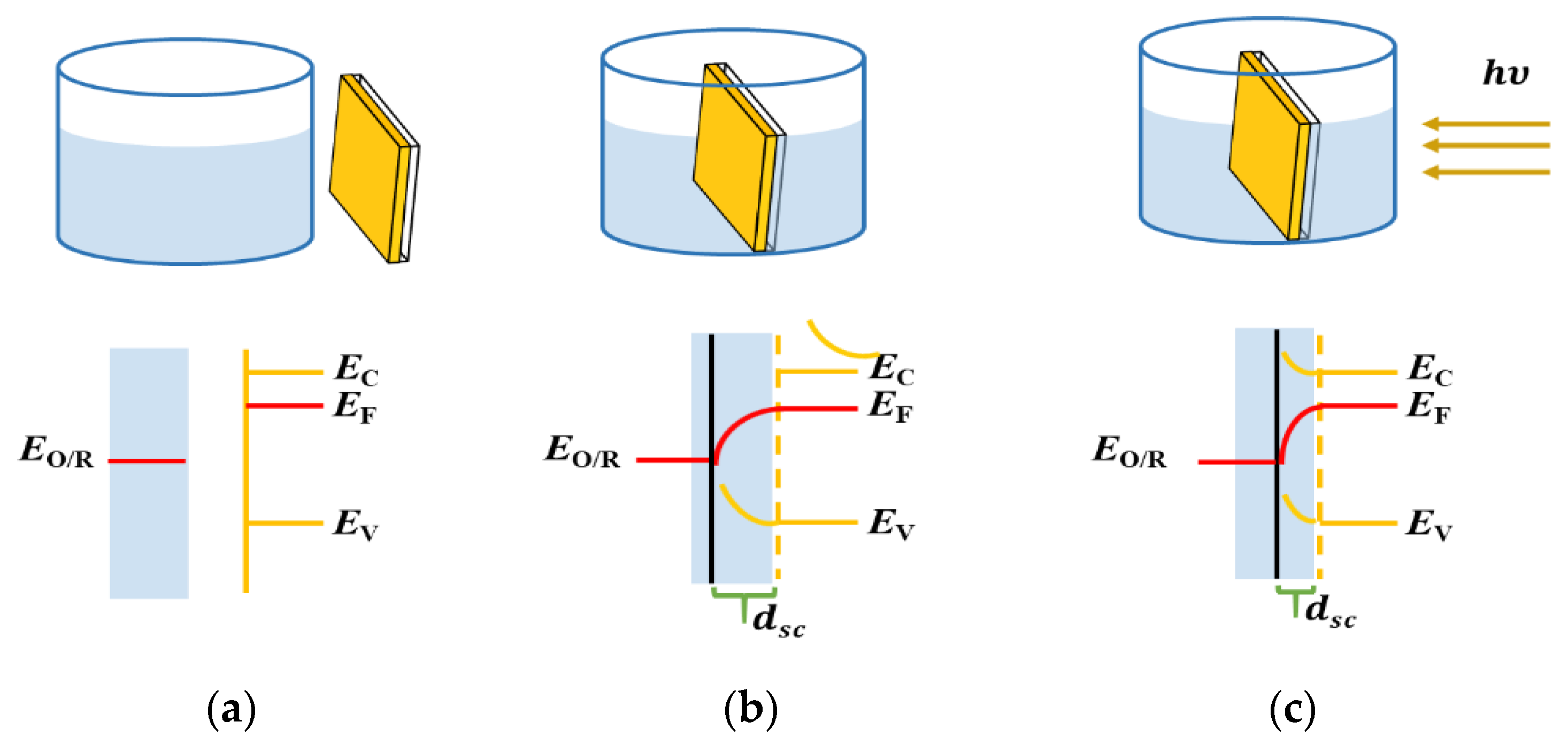 Magnetochemistry 10 00011 g001