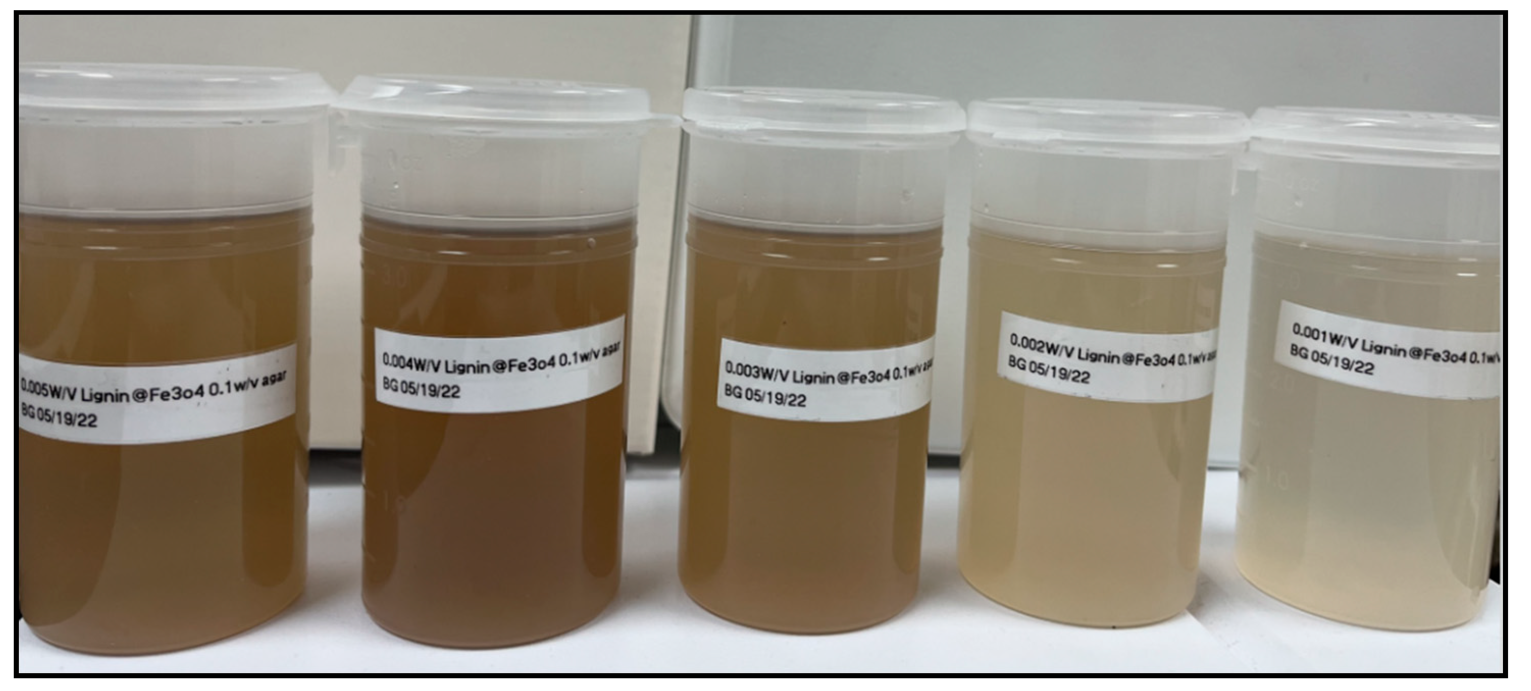 Magnetochemistry 10 00012 g001
