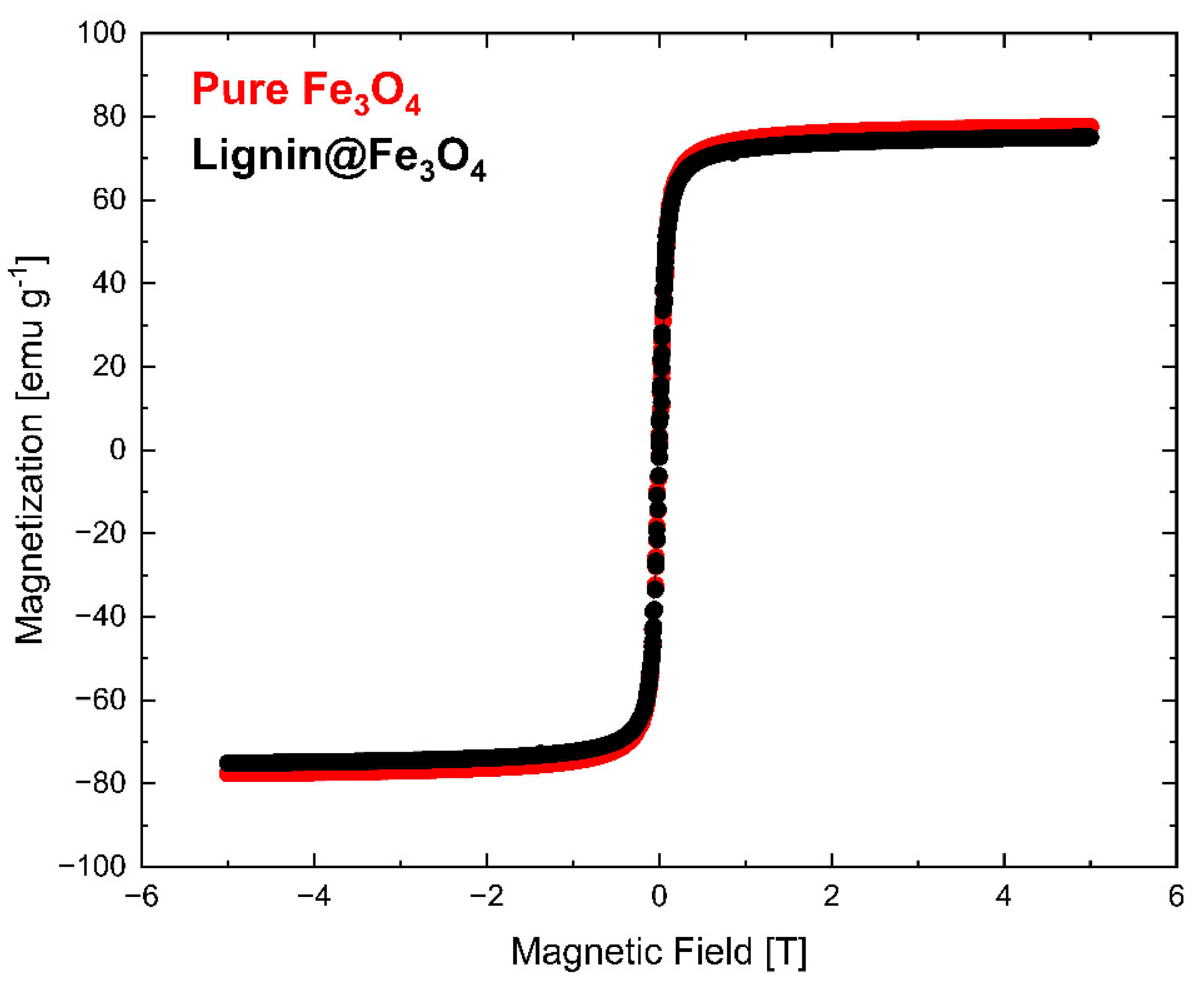 Magnetochemistry 10 00012 g006