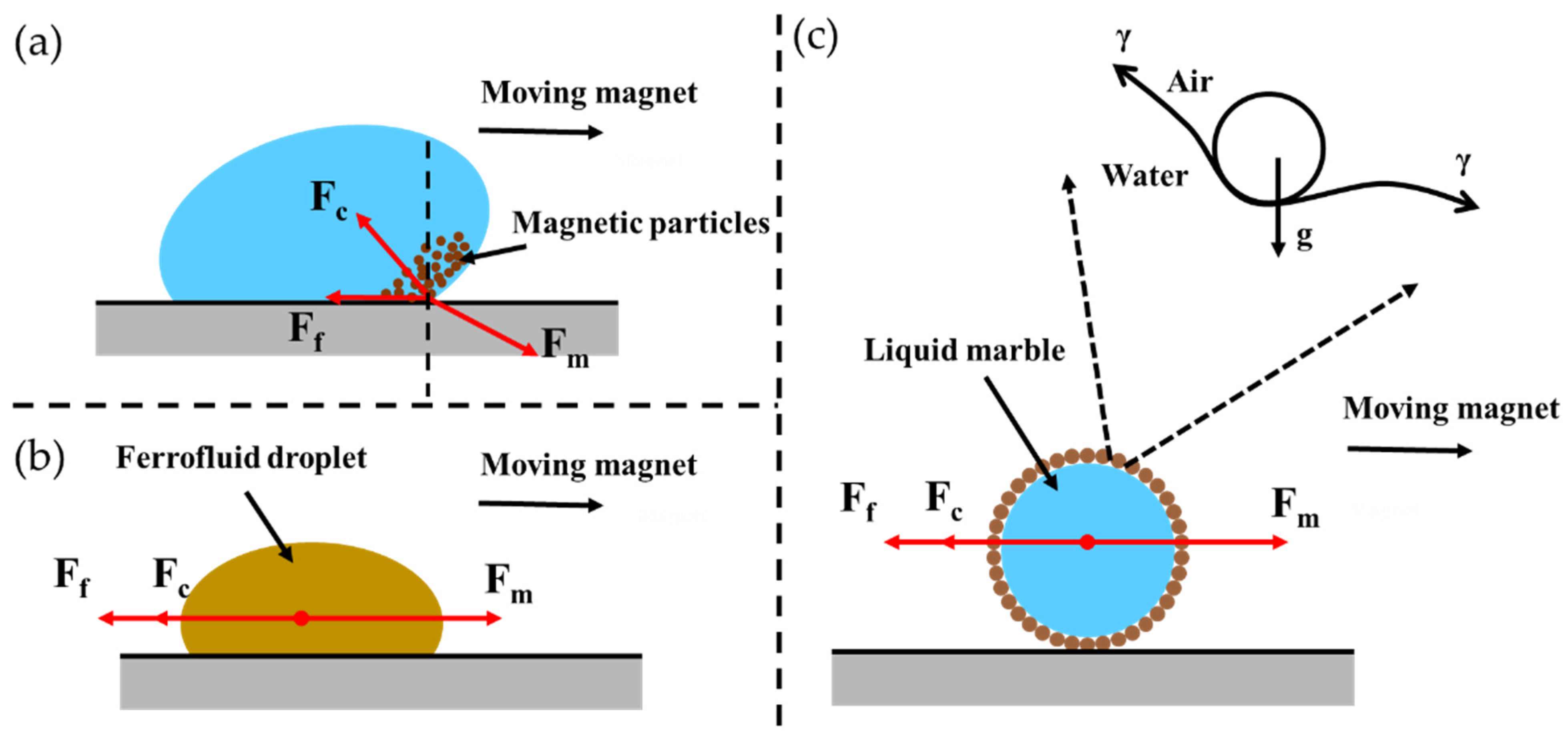 Magnetochemistry 10 00028 g001 Magnetochemistry 10 00028 g001