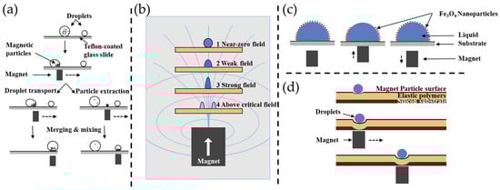 Magnetochemistry 10 00028 g002