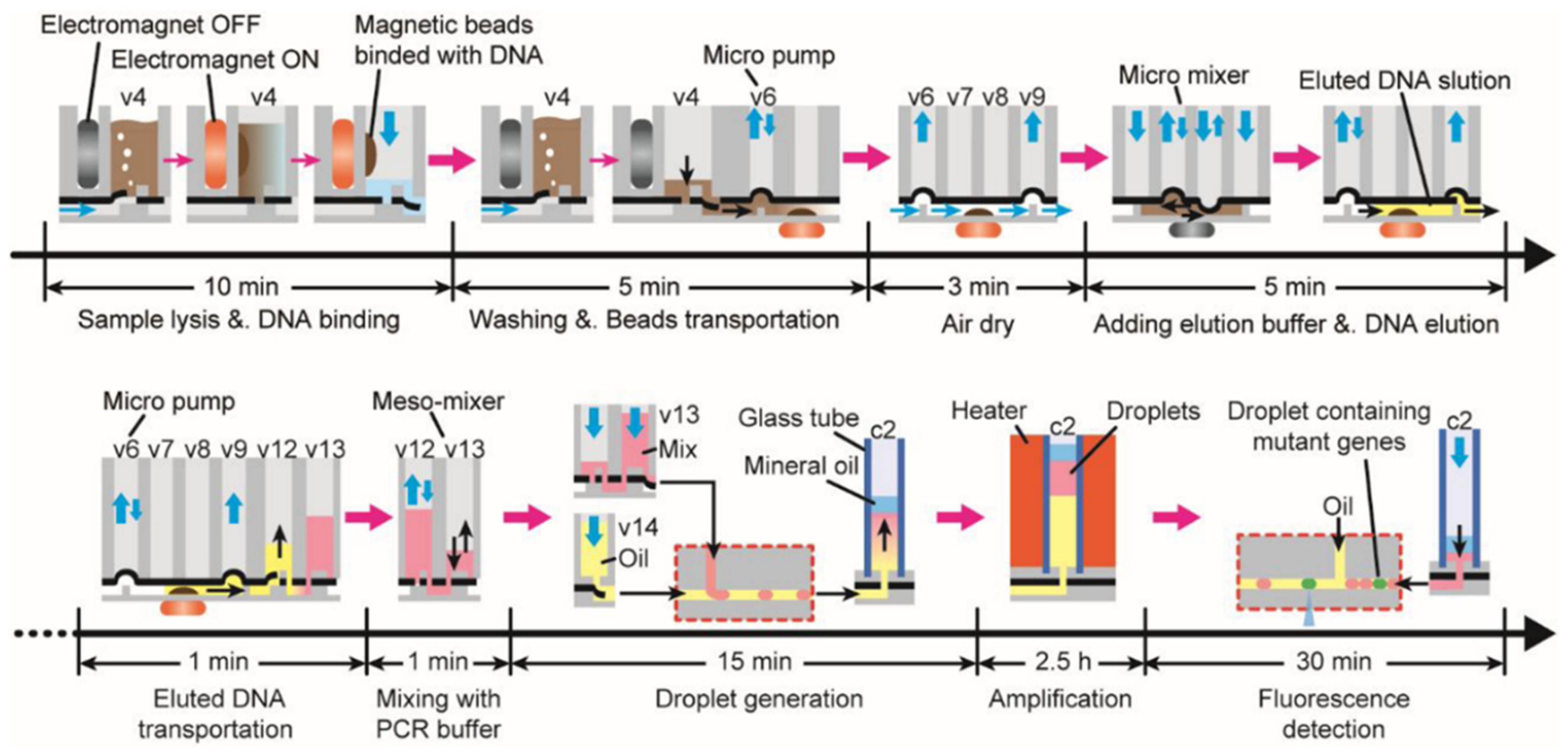 Magnetochemistry 10 00028 g005 Magnetochemistry 10 00028 g005