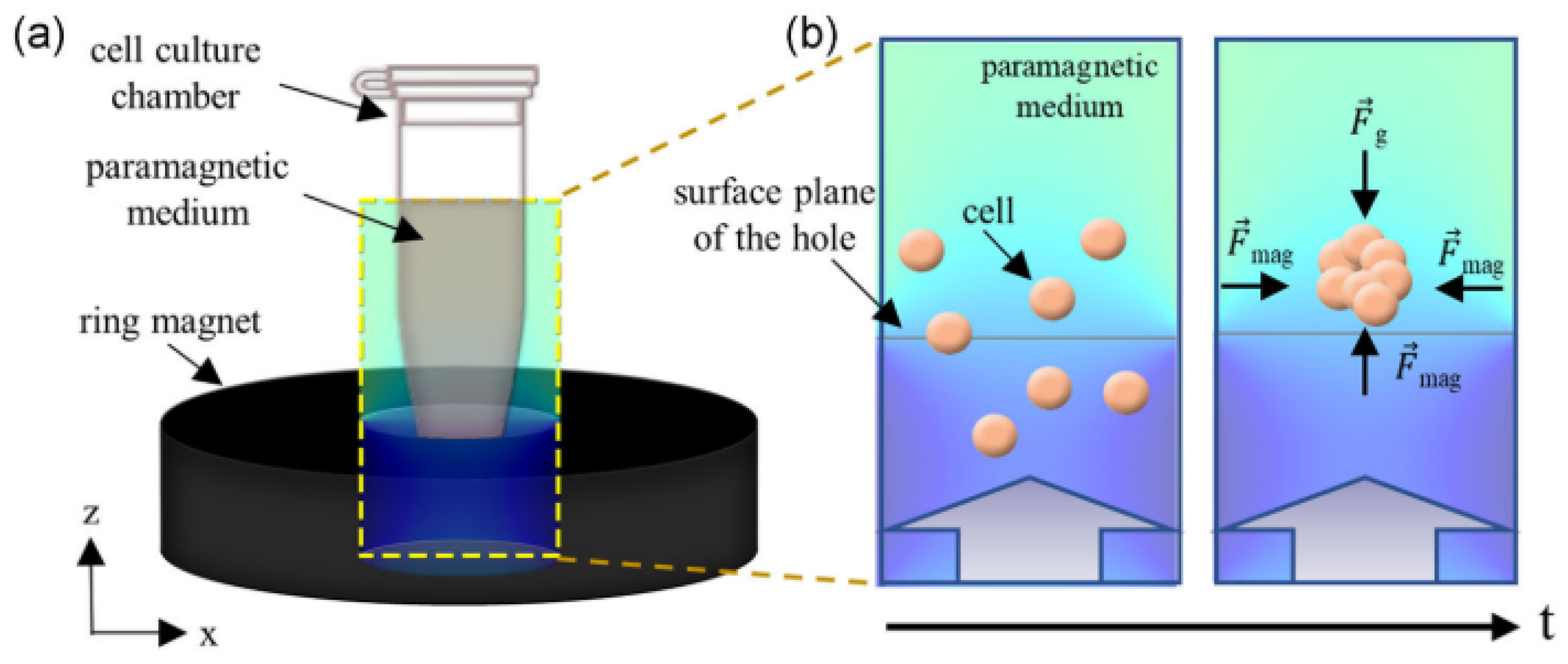 Magnetochemistry 10 00028 g008 Magnetochemistry 10 00028 g008
