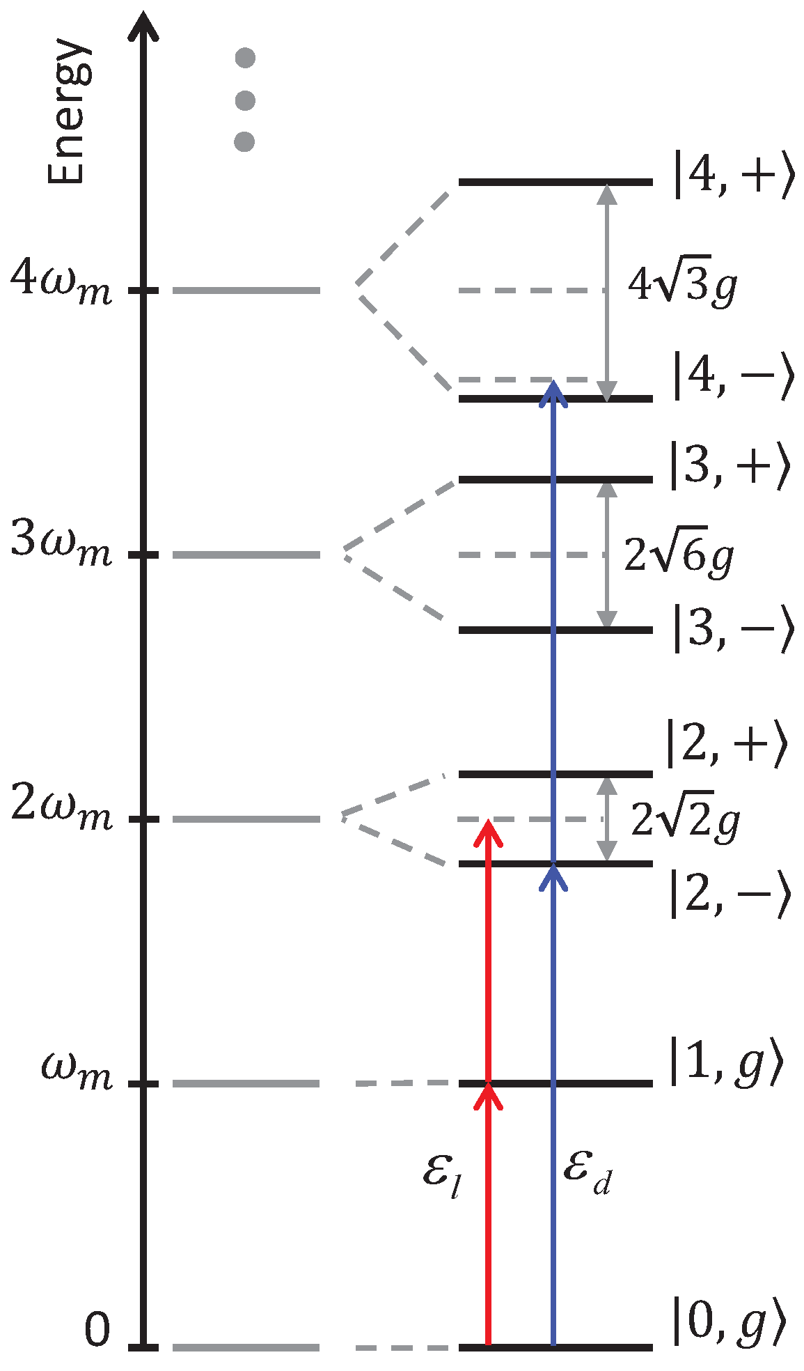 Magnetochemistry 10 00041 g001