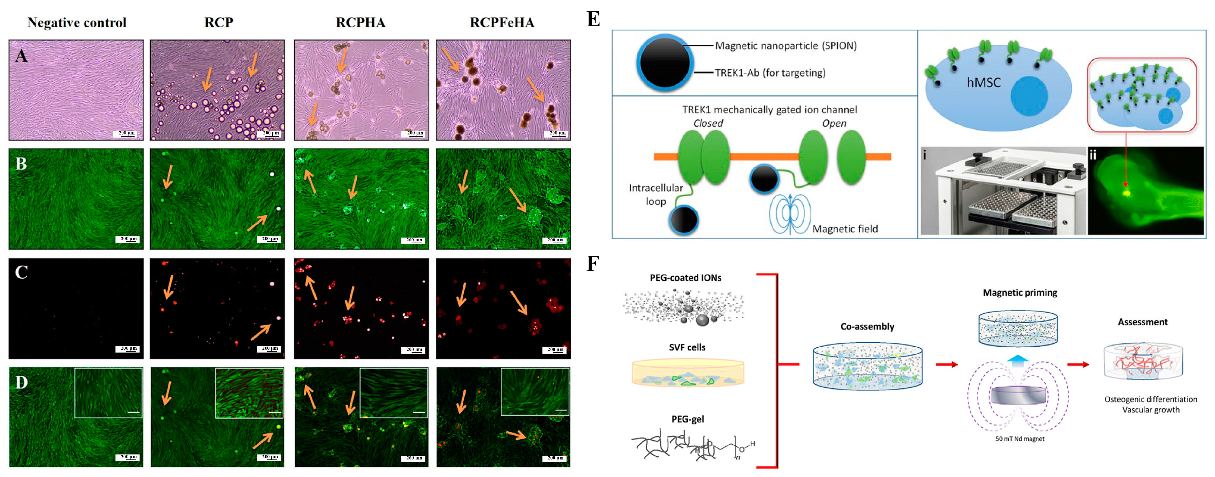 Magnetochemistry 10 00046 g004