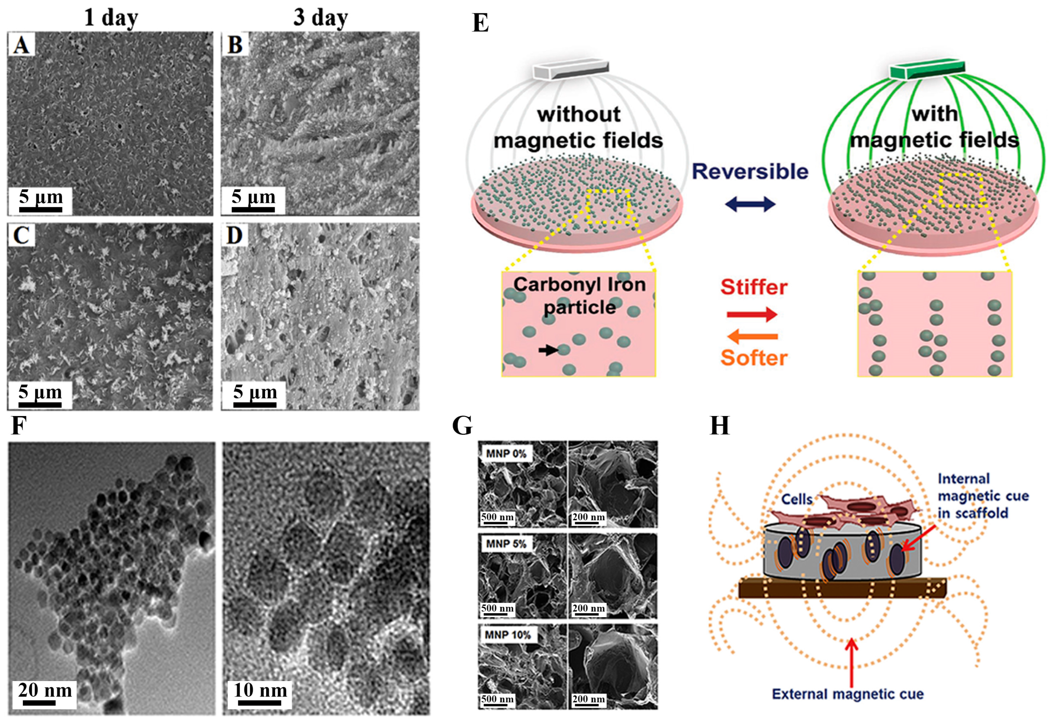Magnetochemistry 10 00046 g006