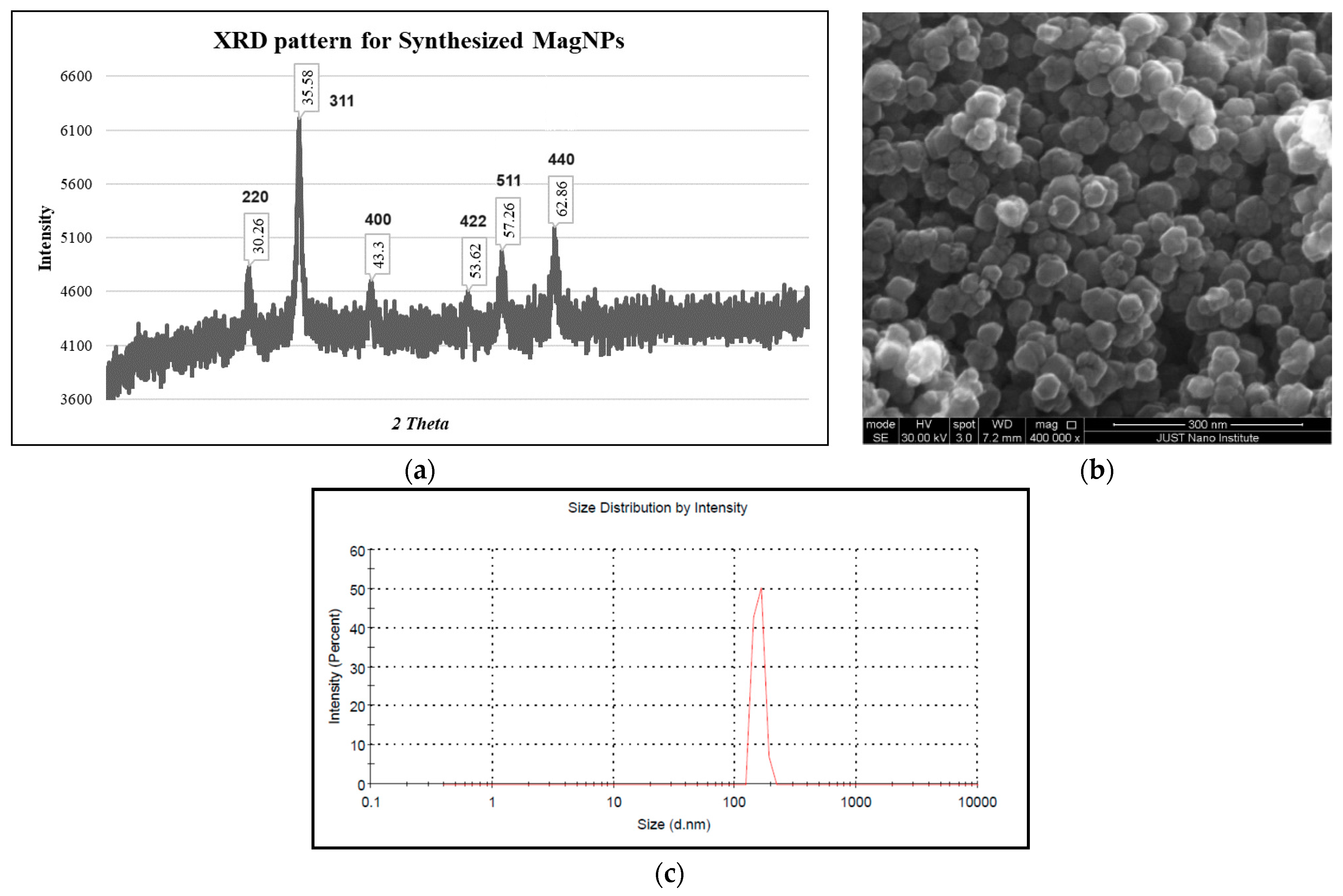 Magnetochemistry 10 00049 g001