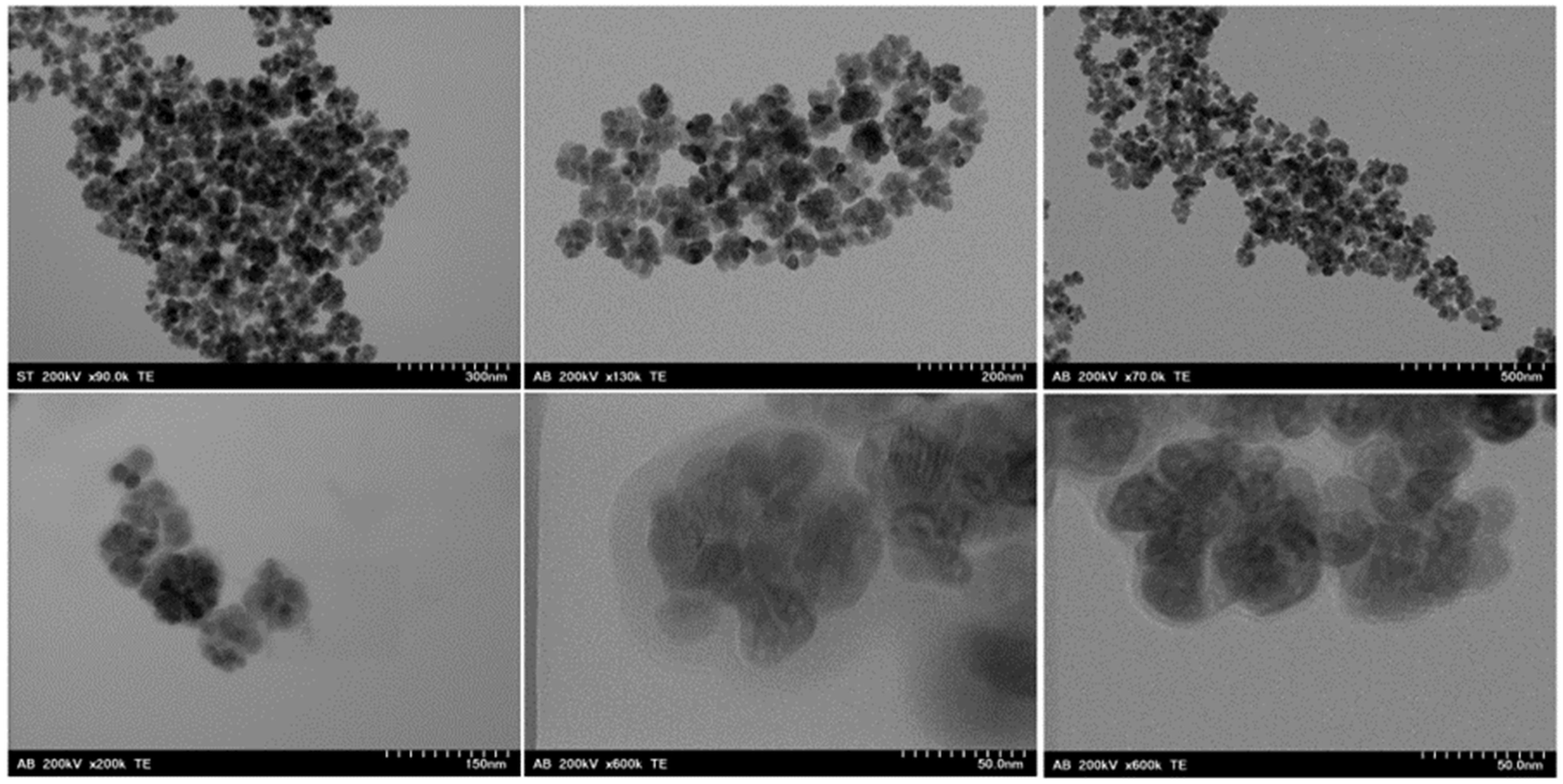 Magnetochemistry 10 00051 g004 Magnetochemistry 10 00051 g004