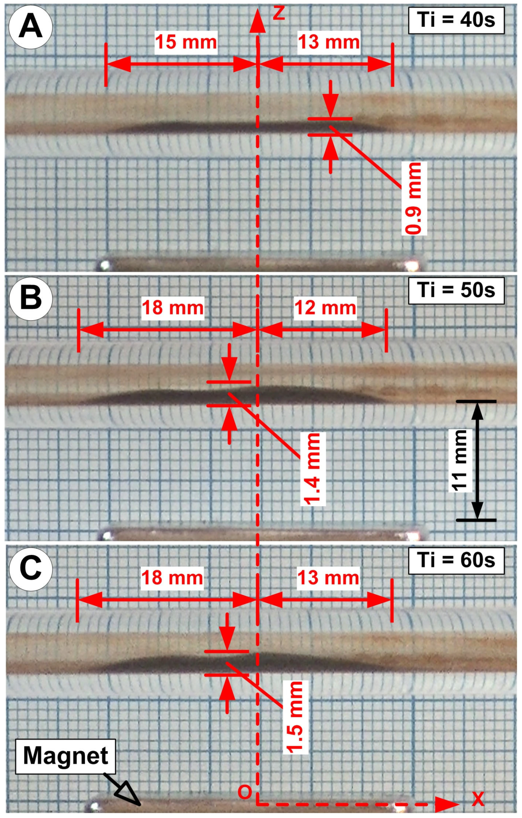 Magnetochemistry 10 00051 g020 Magnetochemistry 10 00051 g020