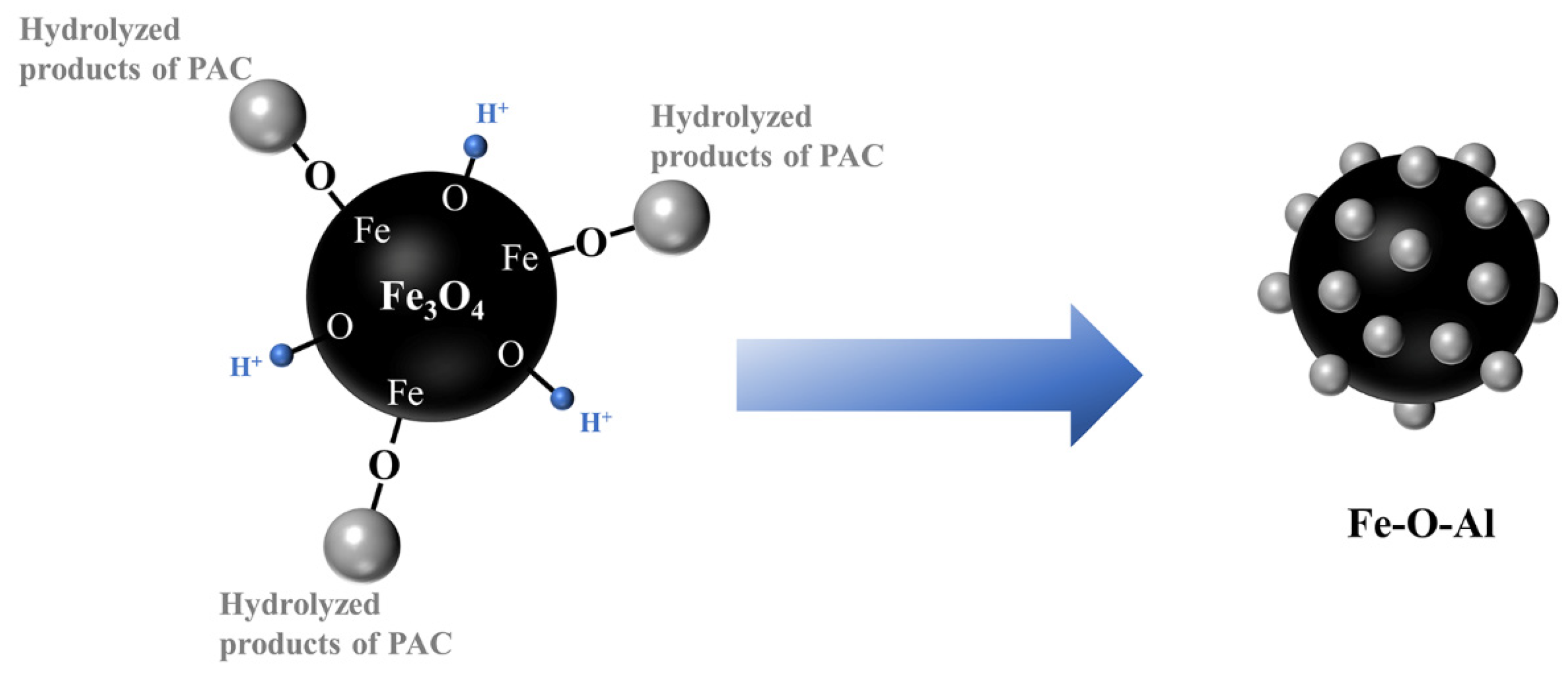 Magnetochemistry 10 00056 g003