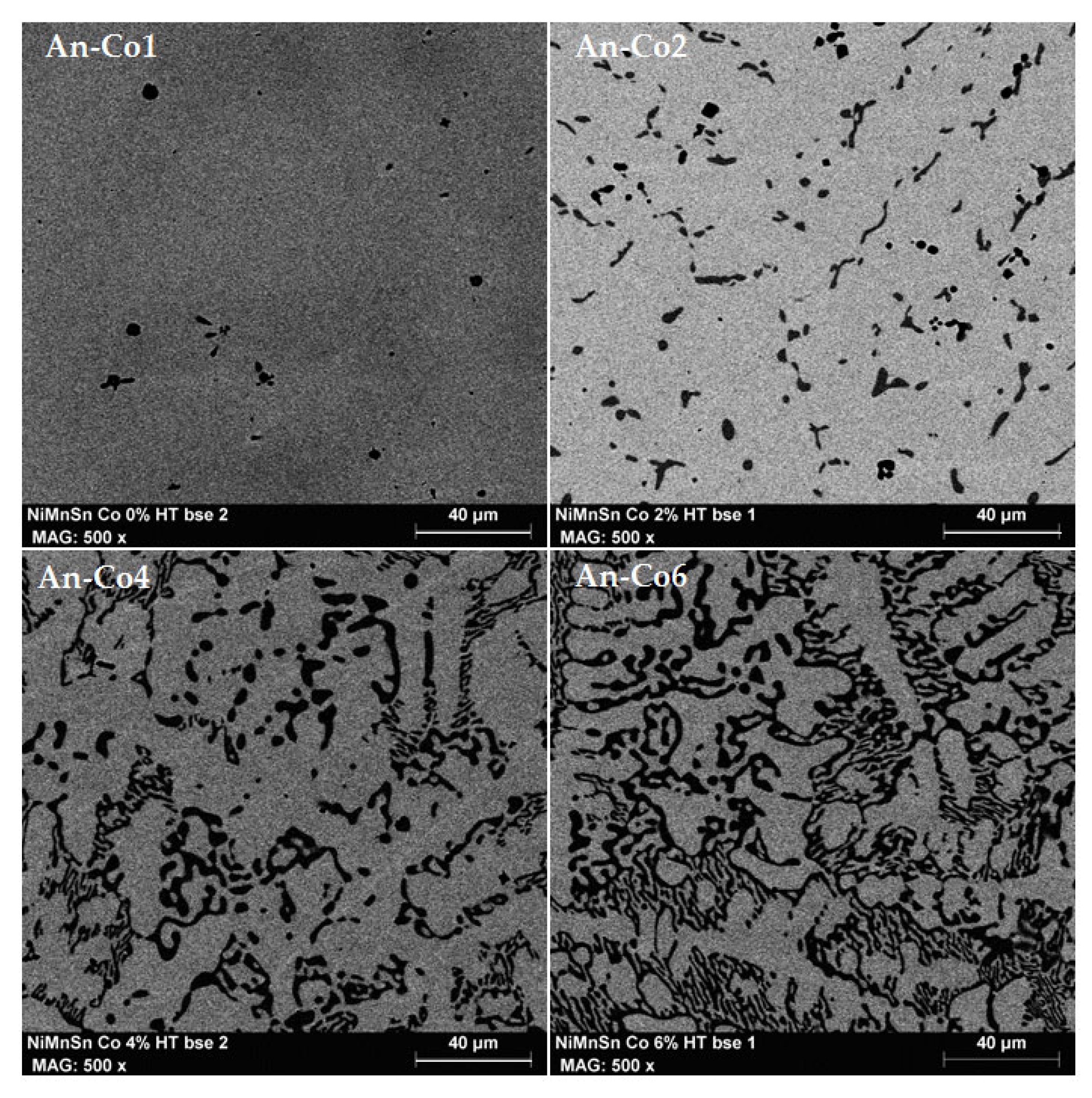 Magnetochemistry 10 00059 g008 Magnetochemistry 10 00059 g008