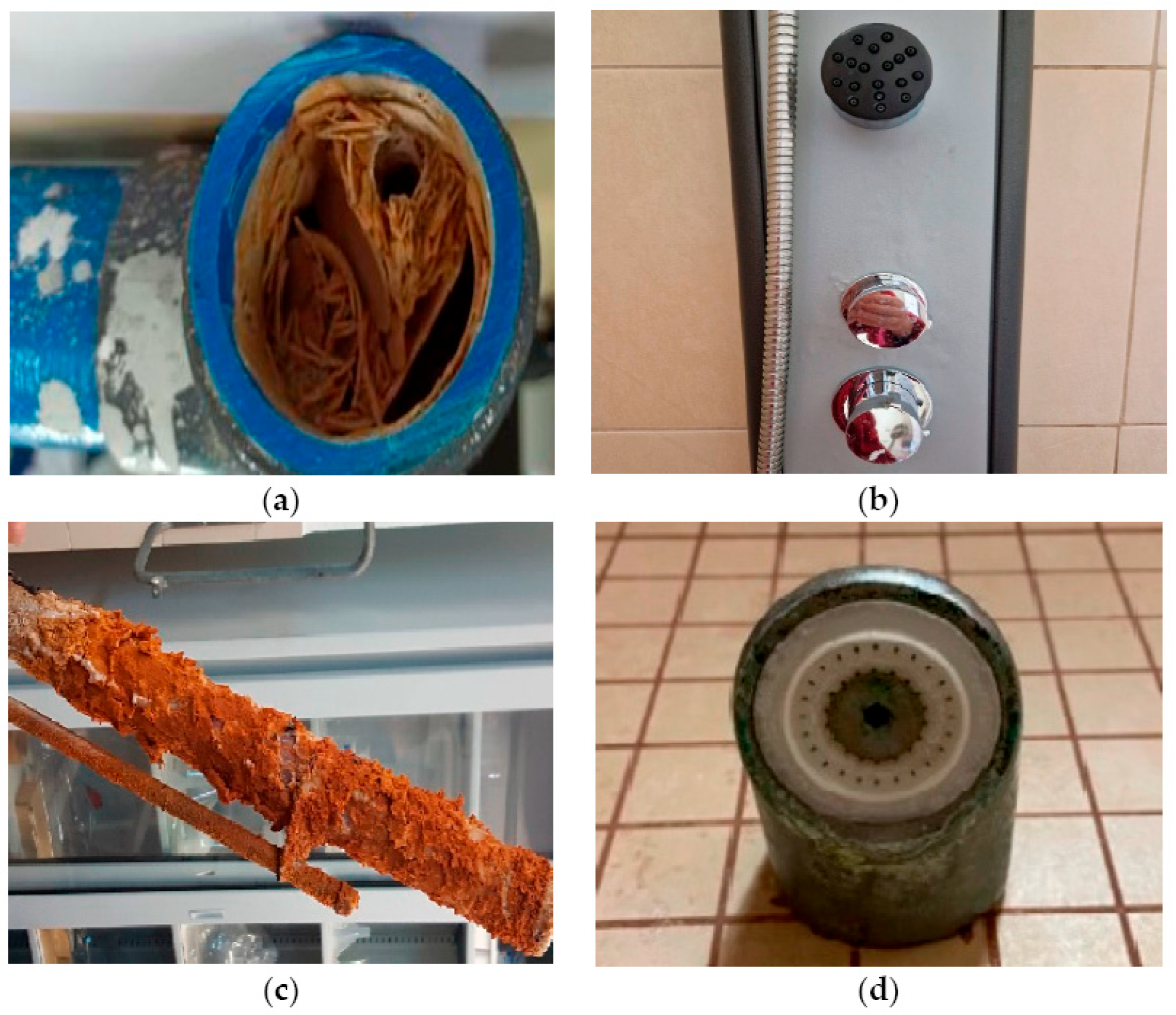 Magnetochemistry 10 00083 g001 Magnetochemistry 10 00083 g001