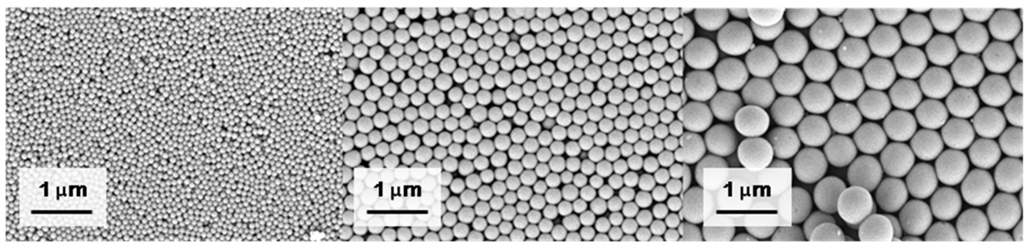 Magnetochemistry 10 00084 g001