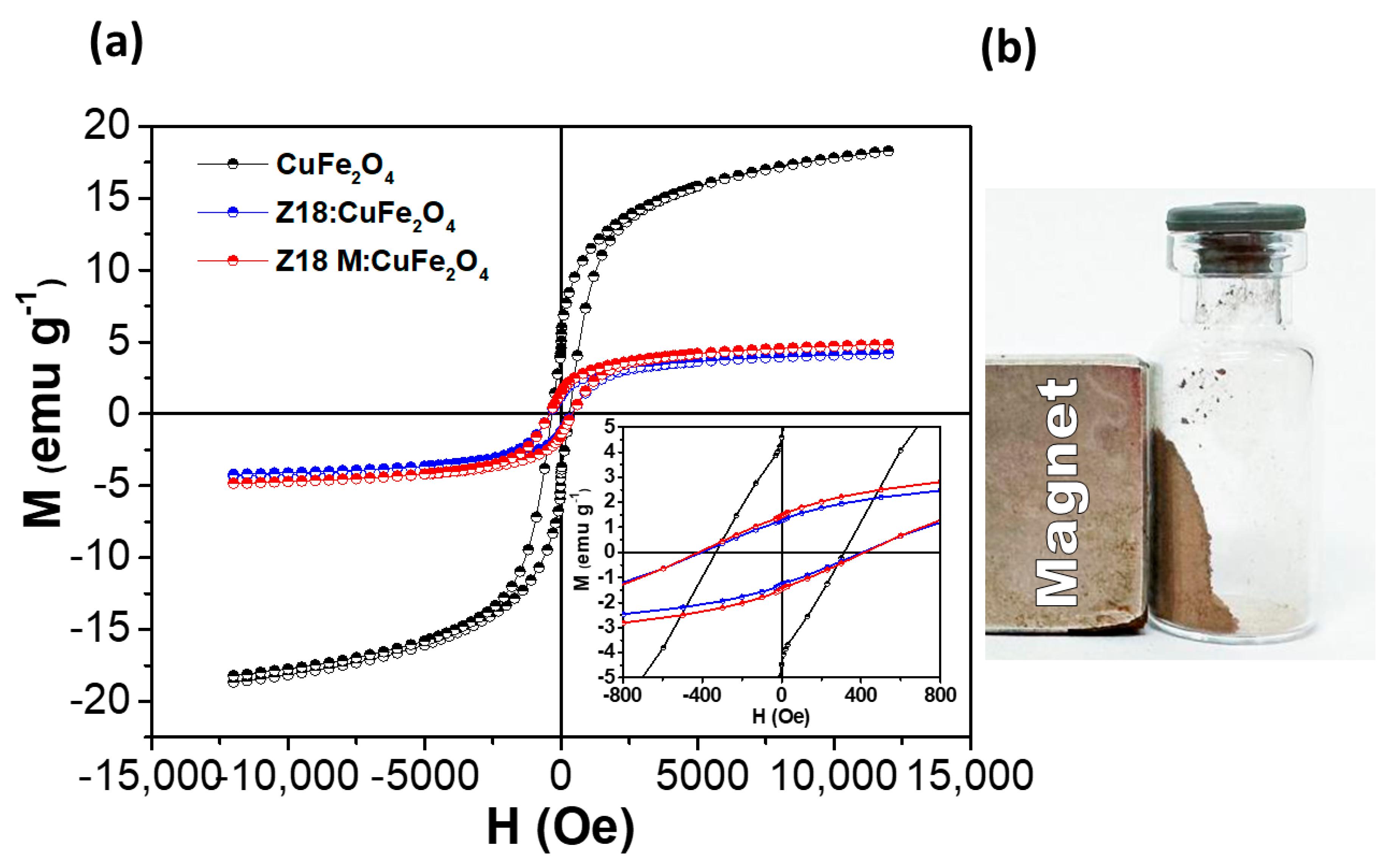 Magnetochemistry 10 00087 g011