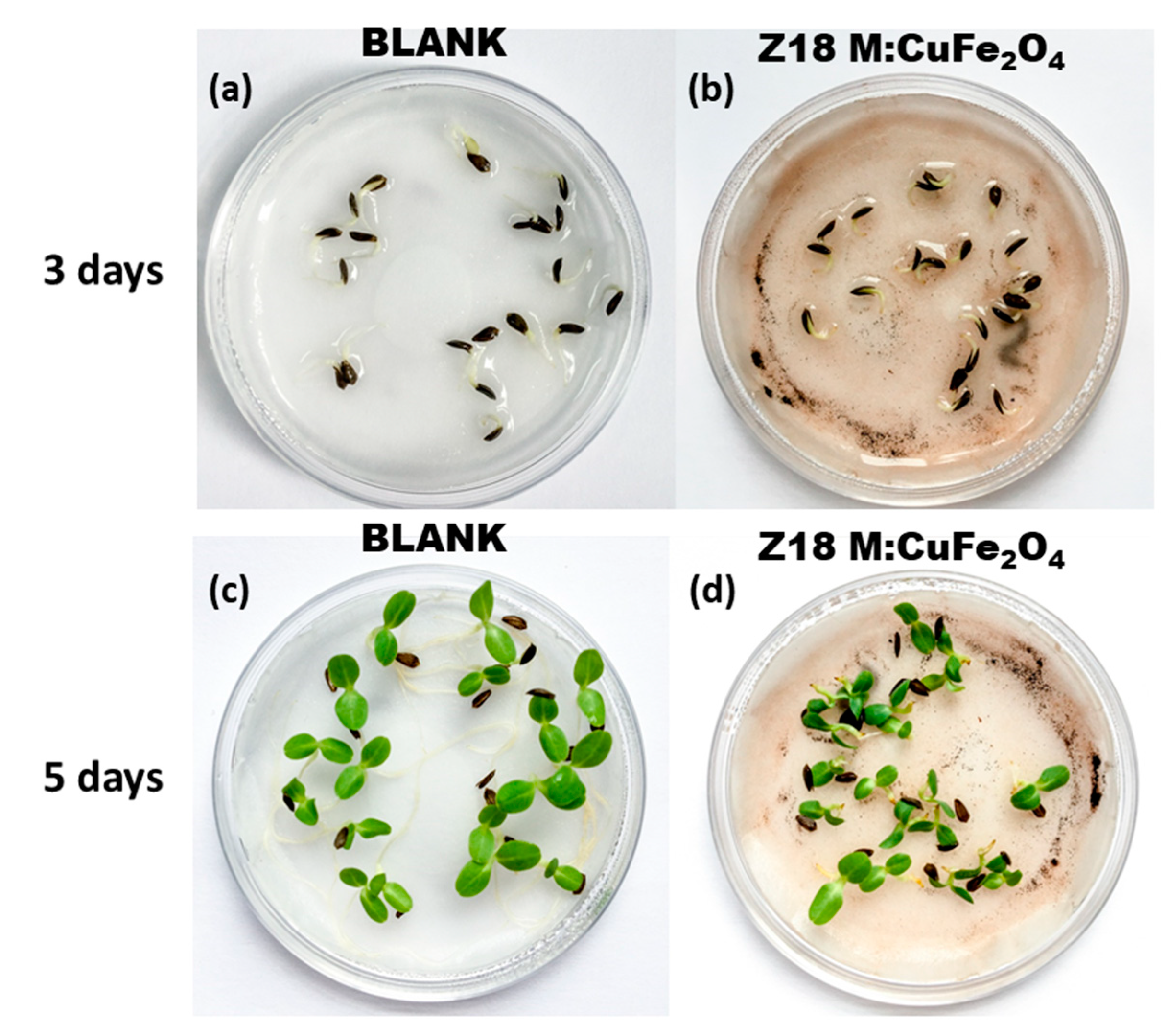 Magnetochemistry 10 00087 g015