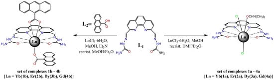 Magnetochemistry 10 00104 sch001