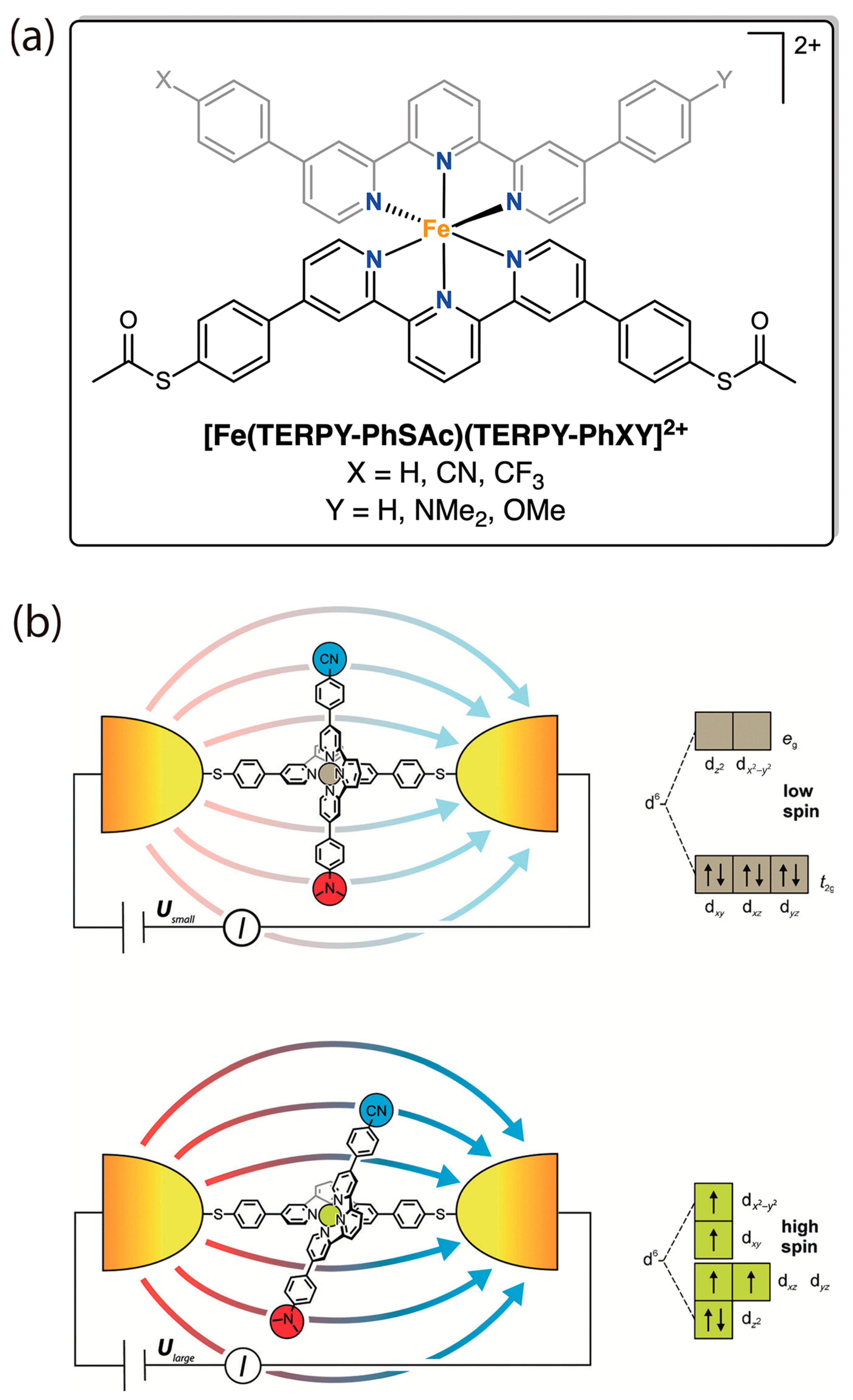 Magnetochemistry 10 00107 g001