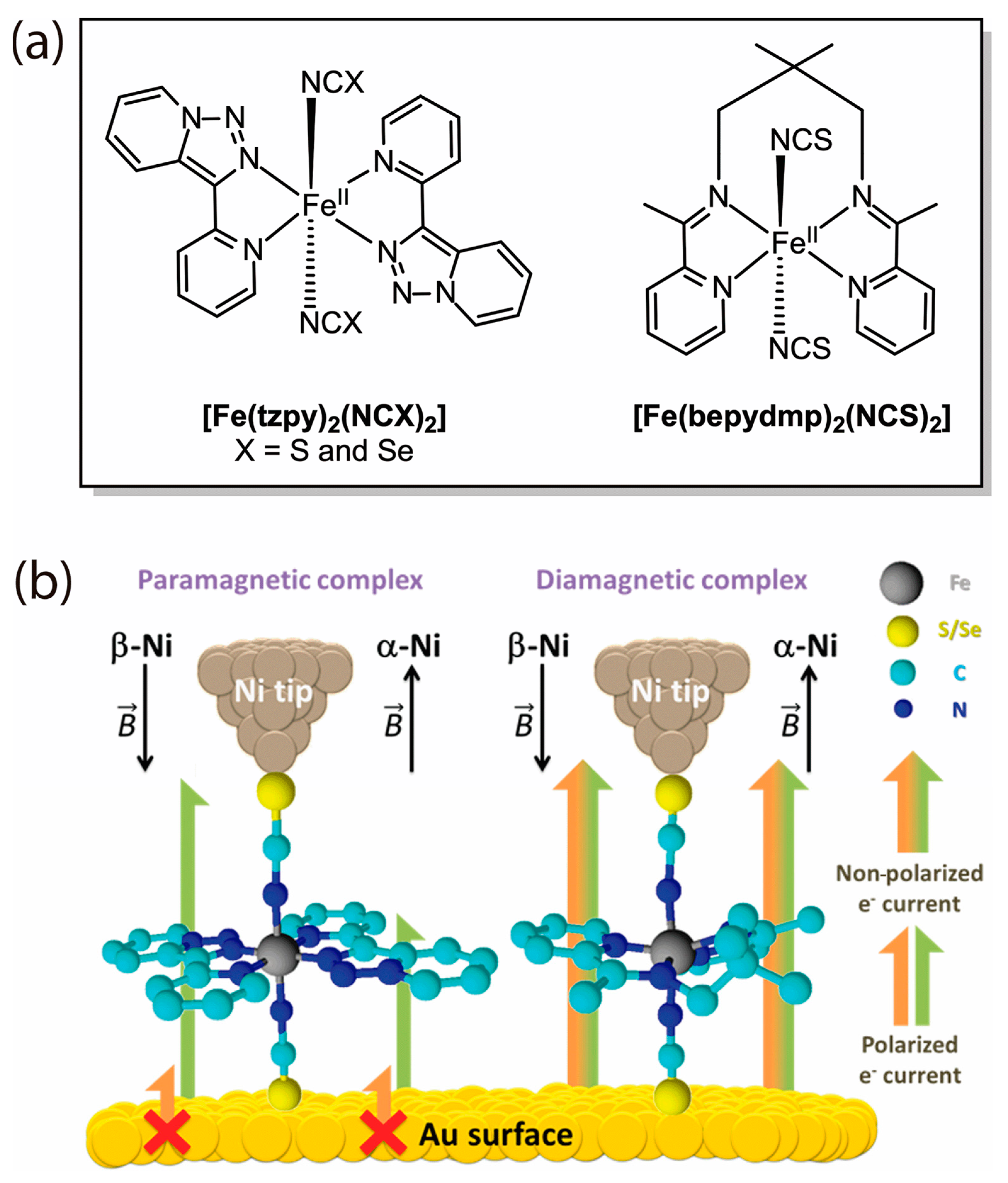 Magnetochemistry 10 00107 g002