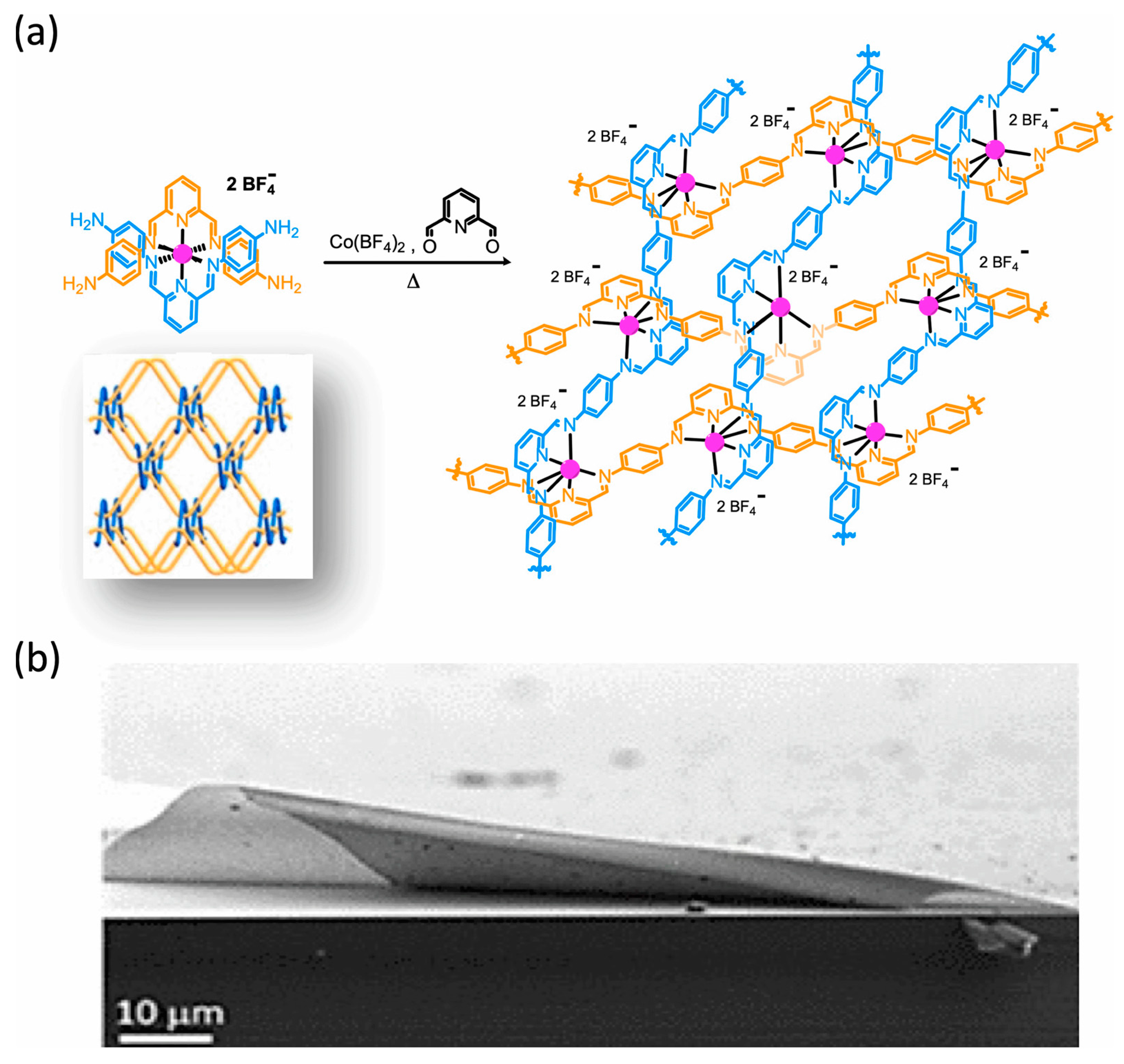 Magnetochemistry 10 00107 g018