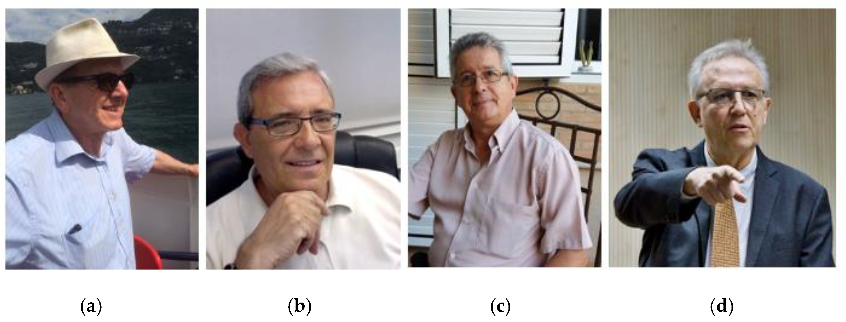 Magnetochemistry 11 00006 g009