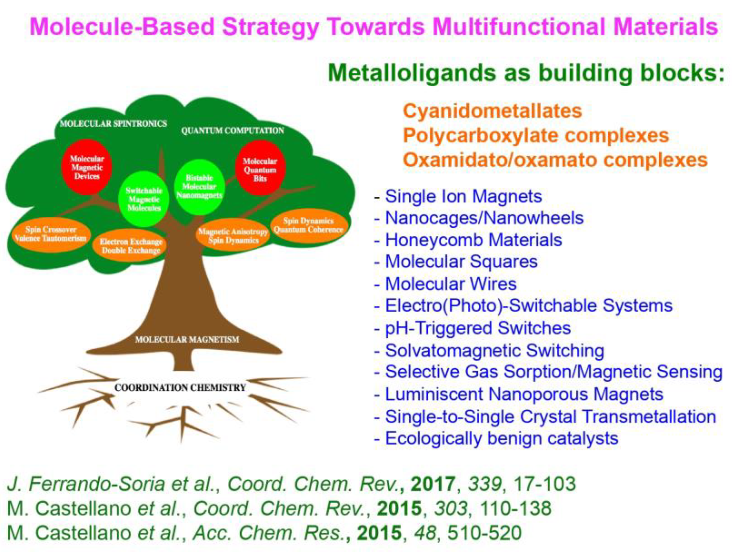 Magnetochemistry 11 00006 g016