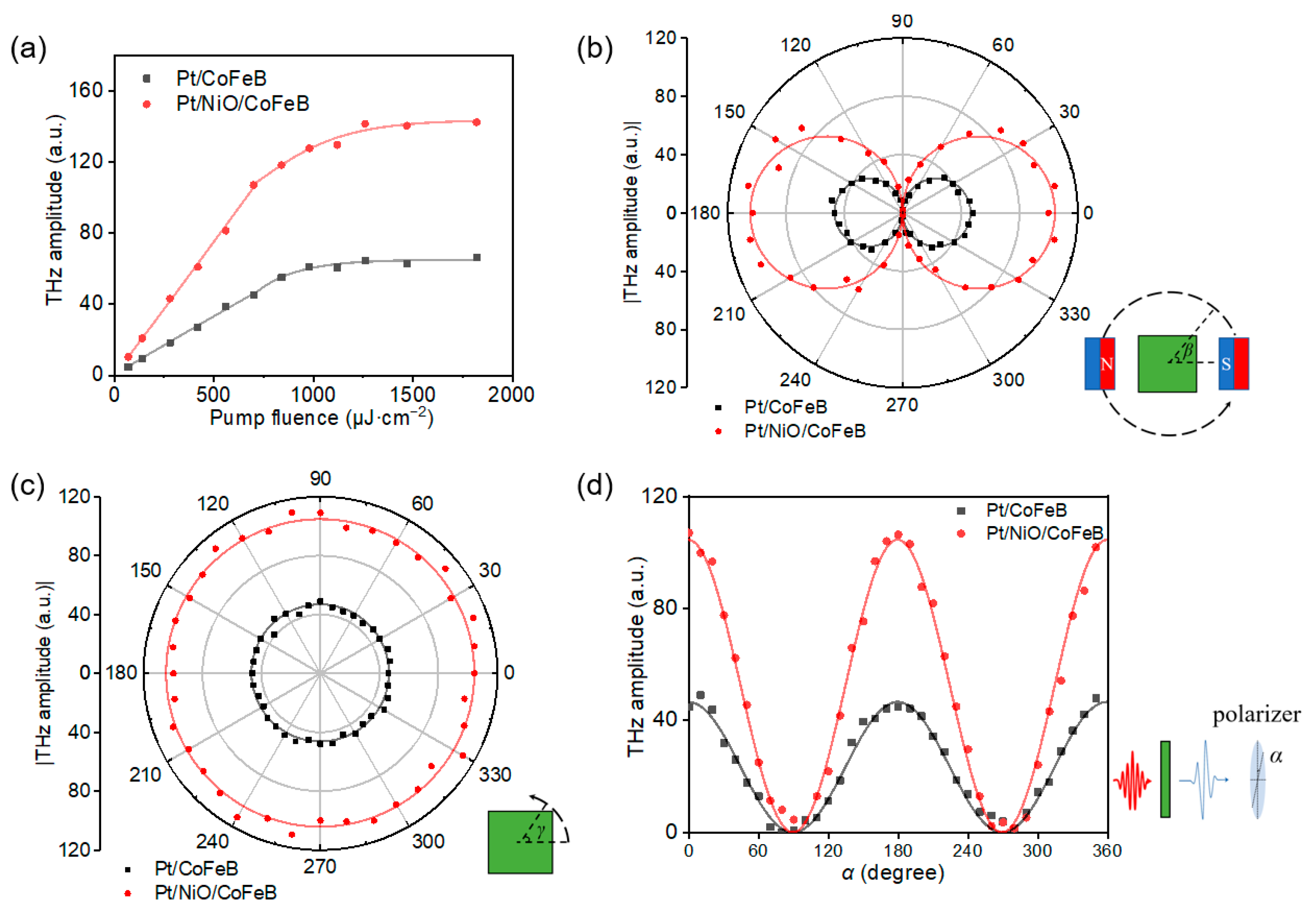 Magnetochemistry 11 00007 g004