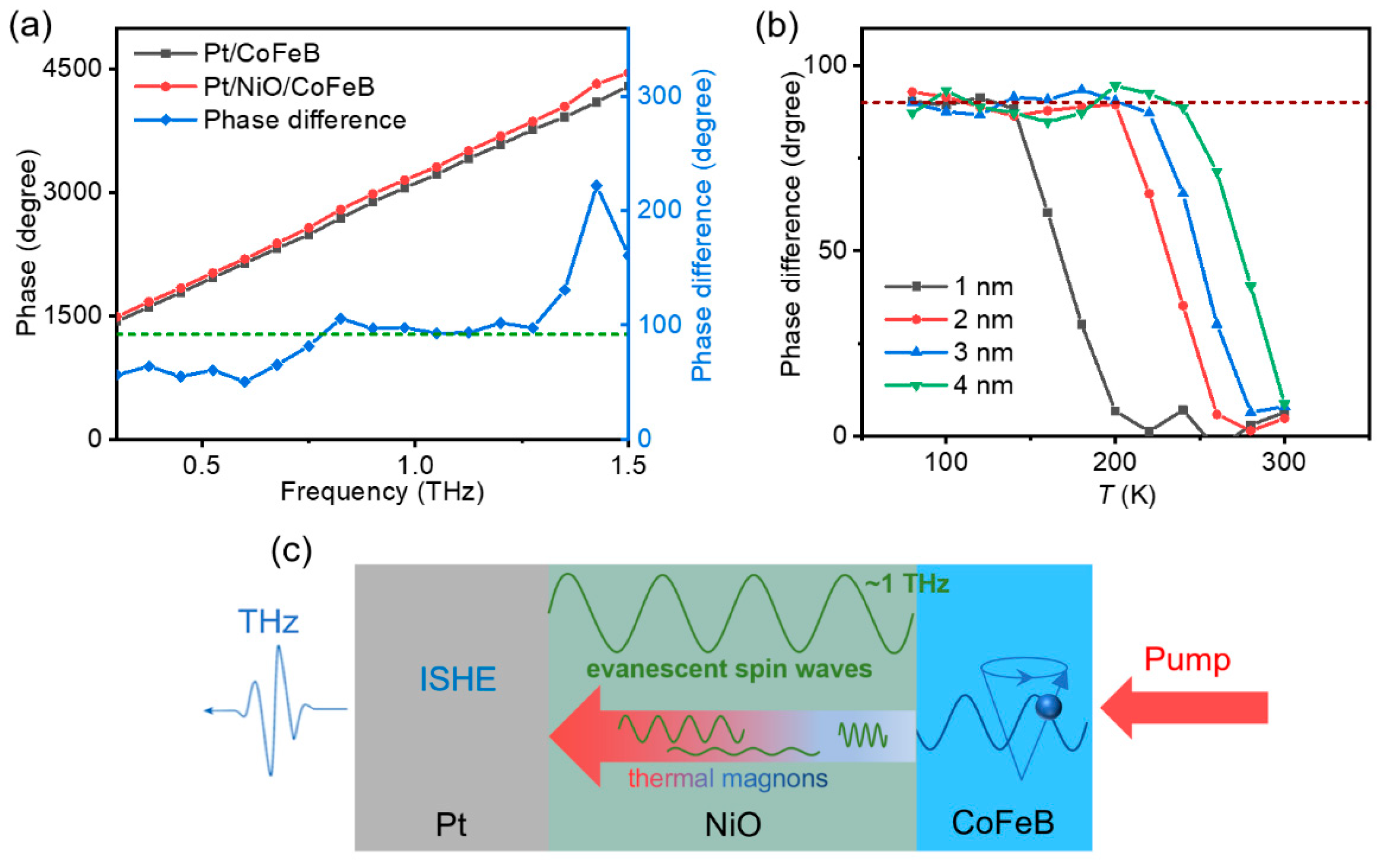 Magnetochemistry 11 00007 g006
