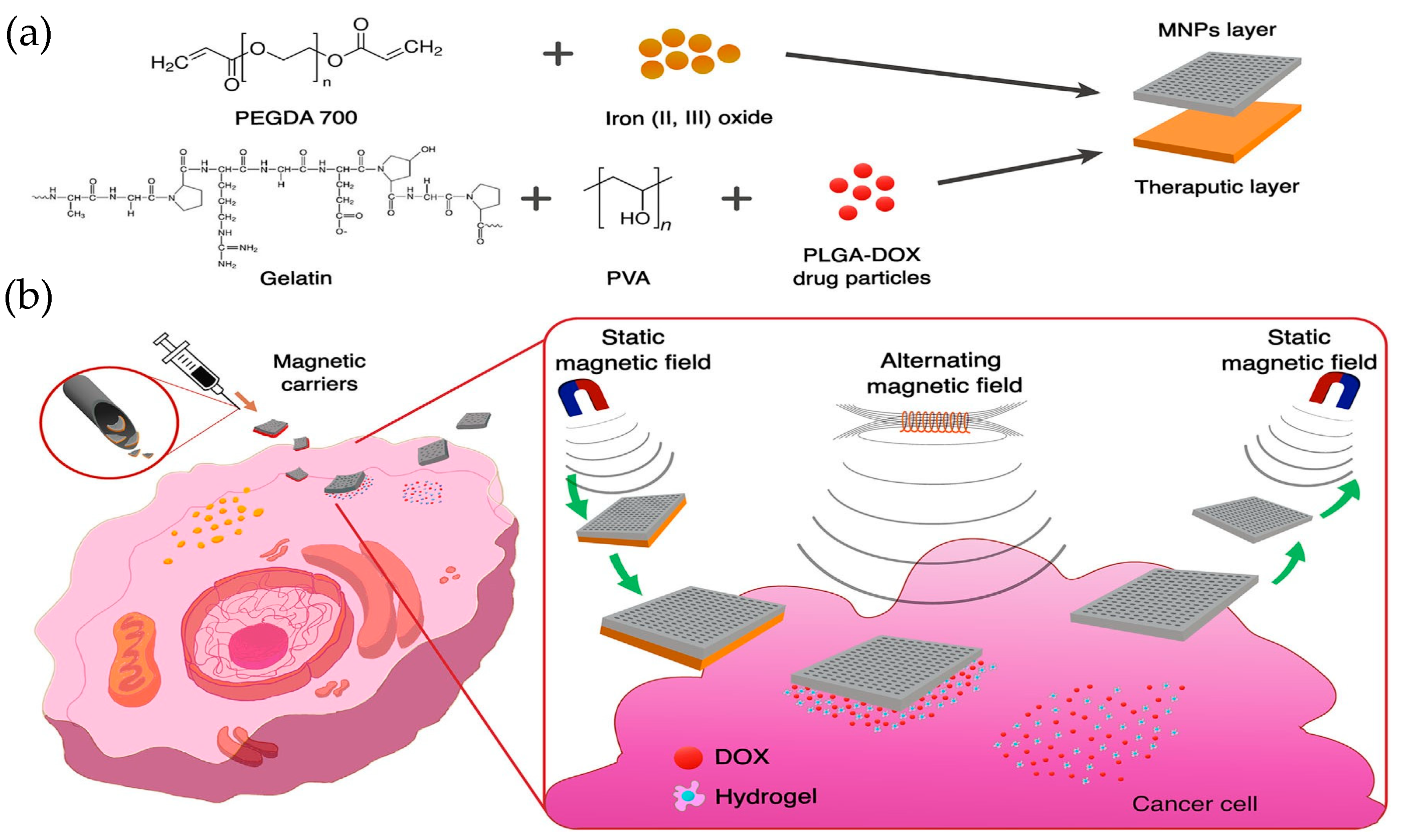 Magnetochemistry 11 00009 g005