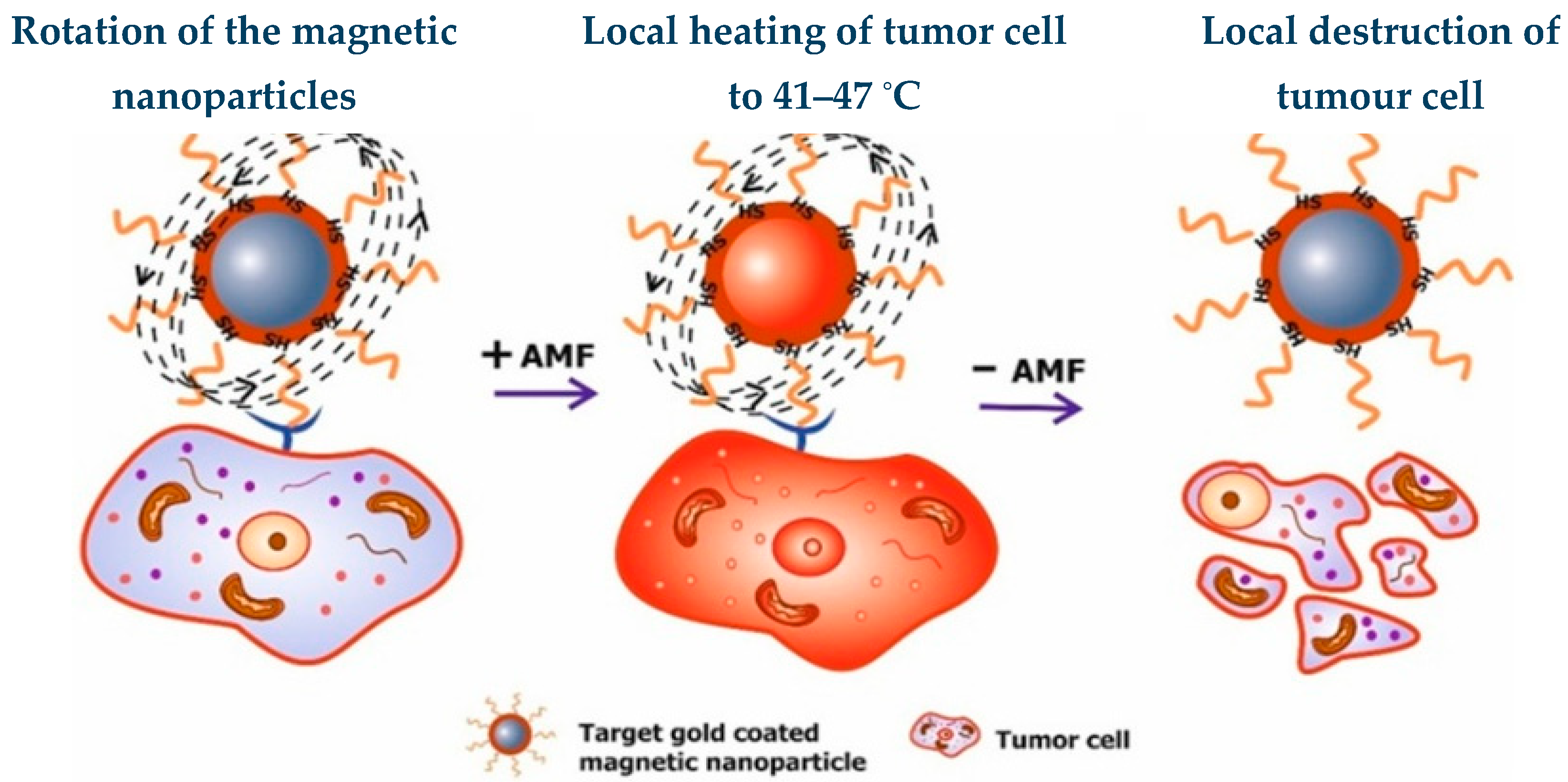 Magnetochemistry 11 00009 g006